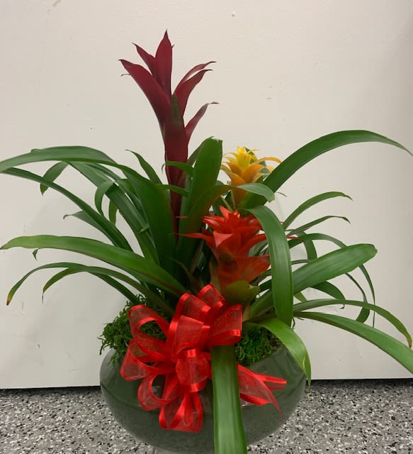 Tropical flower arrangement in a glass bowl with a red ribbon