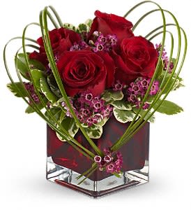Red roses in a square glass vase with looping green stems