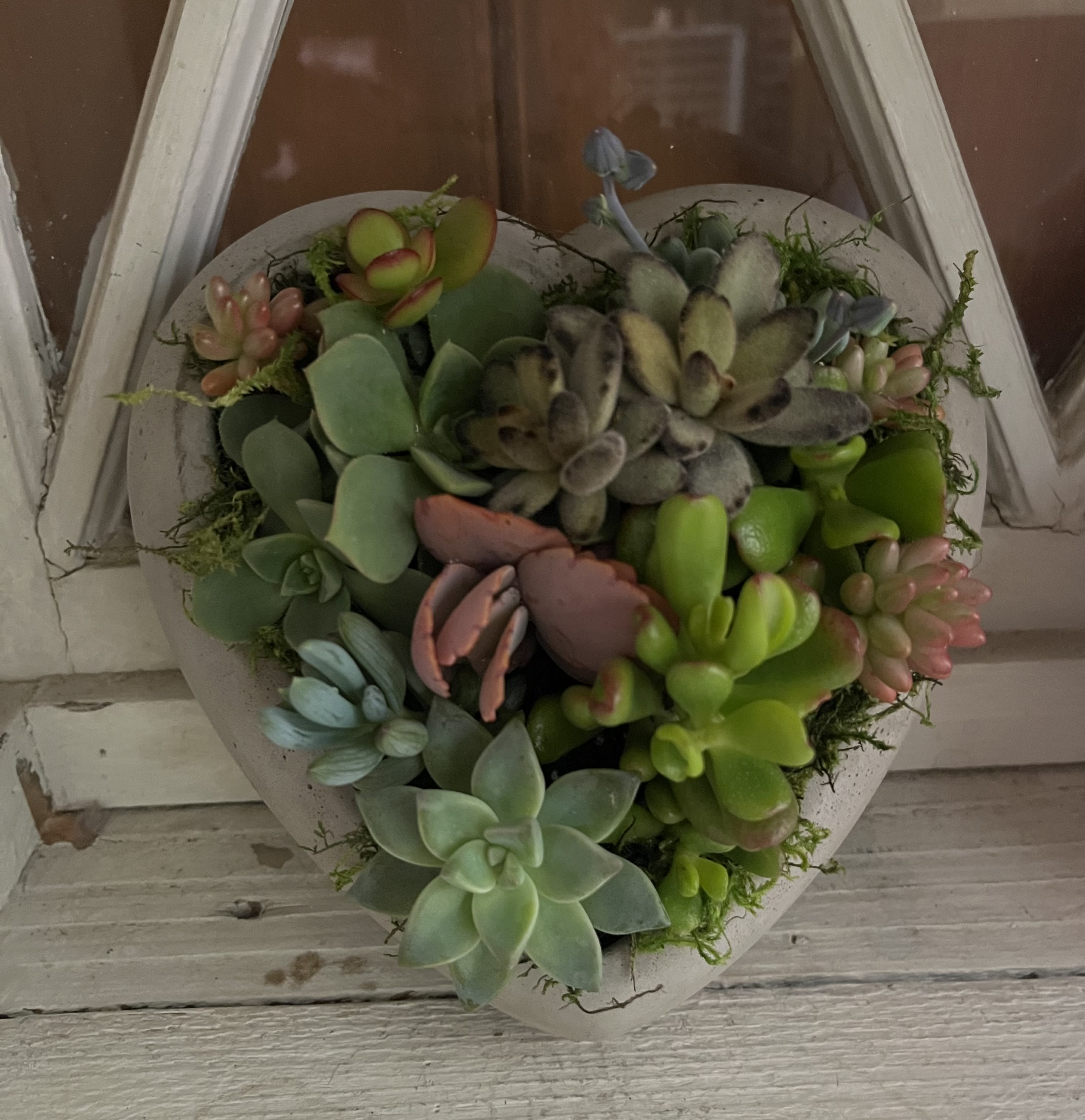 Heart-shaped succulent arrangement in a white container