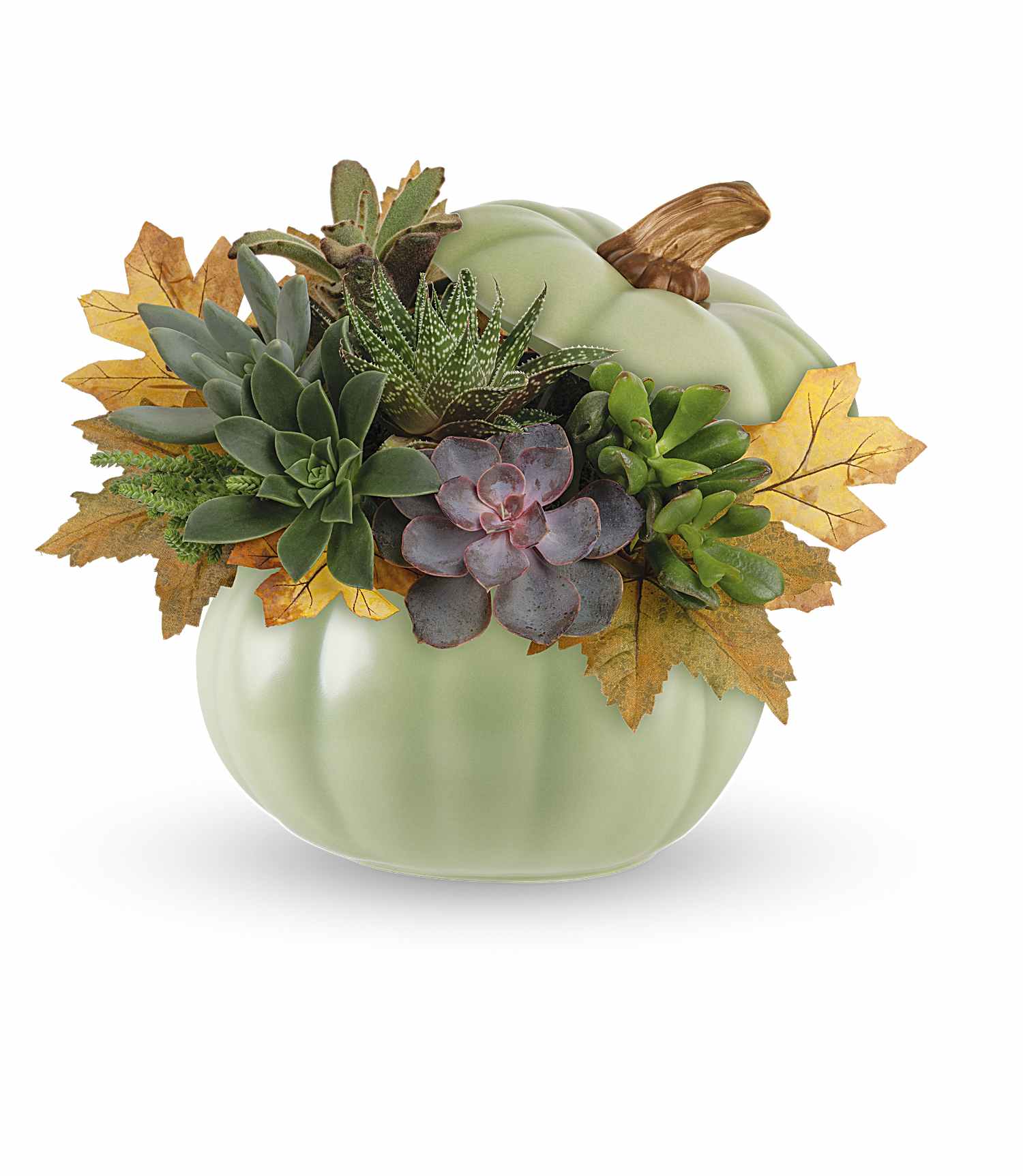Succulent arrangement in a pale green pumpkin-shaped container with autumn leaves