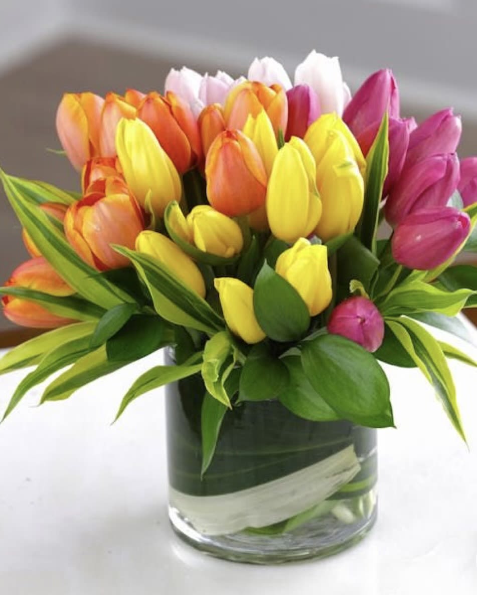 Colorful tulip bouquet in a clear glass vase
