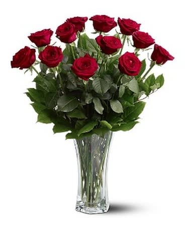 A Dozen Premium Roses - For classic romance a dozen roses is always the perfect choice. One dozen long-stemmed roses, available in any color.  DELUXE IS 18 STEMS PREMIUM IS 24 Beautiful long stem roses