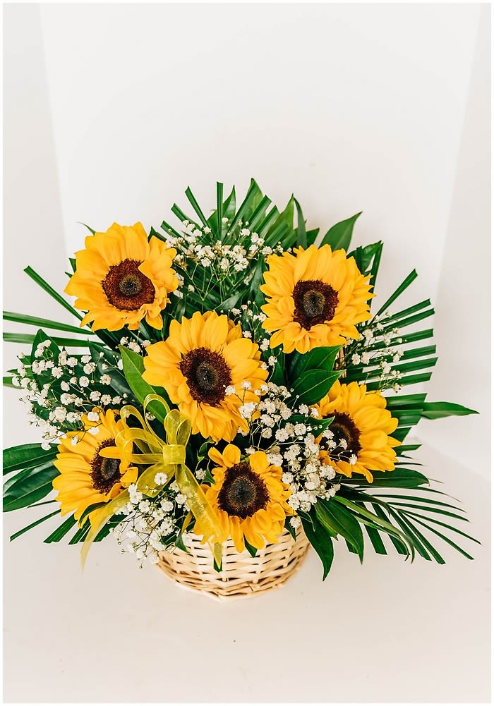 Basket arrangement of sunflowers with baby's breath and palm leaves