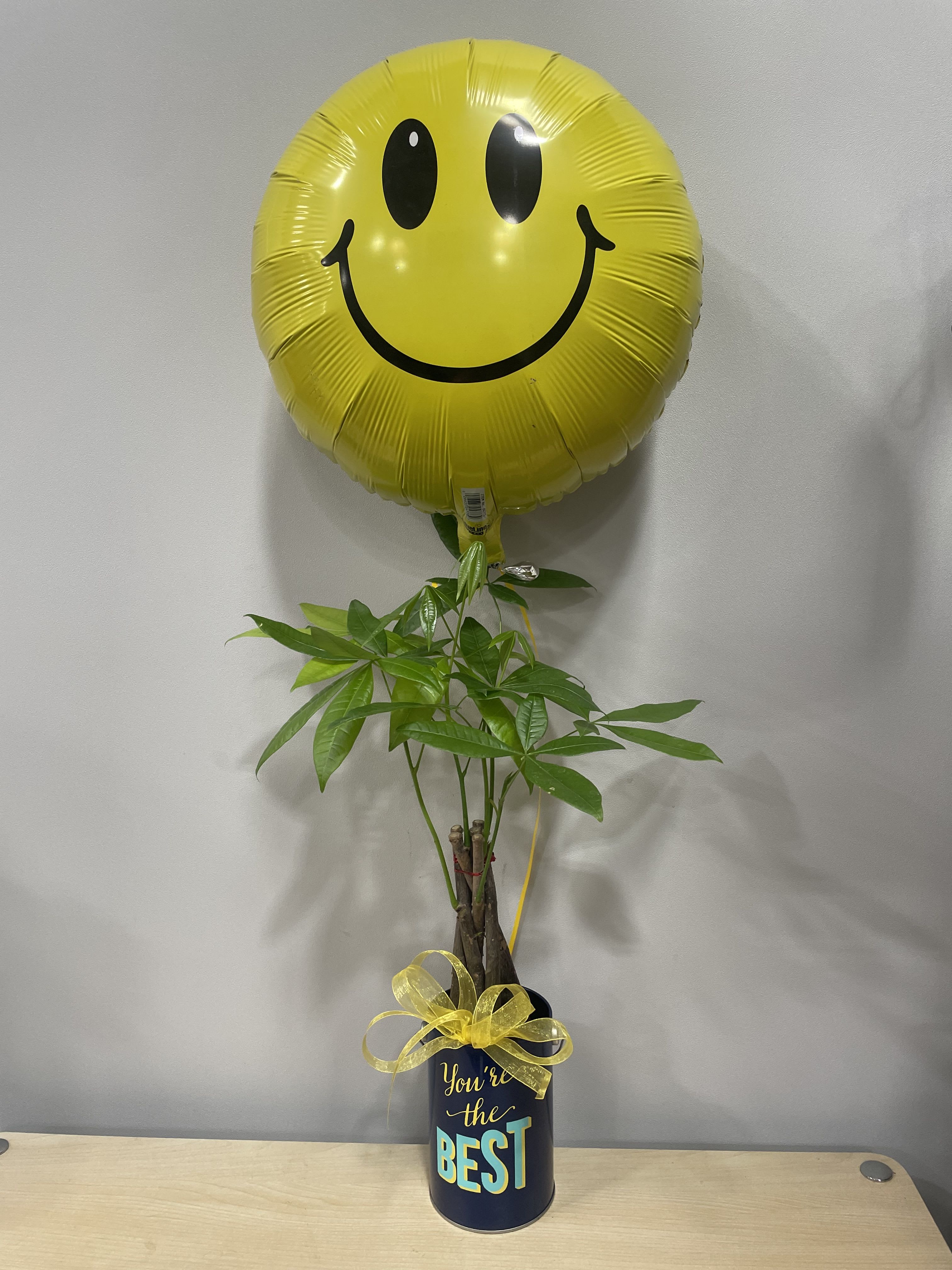 Yellow smiley-face balloon above a potted plant in a gift container