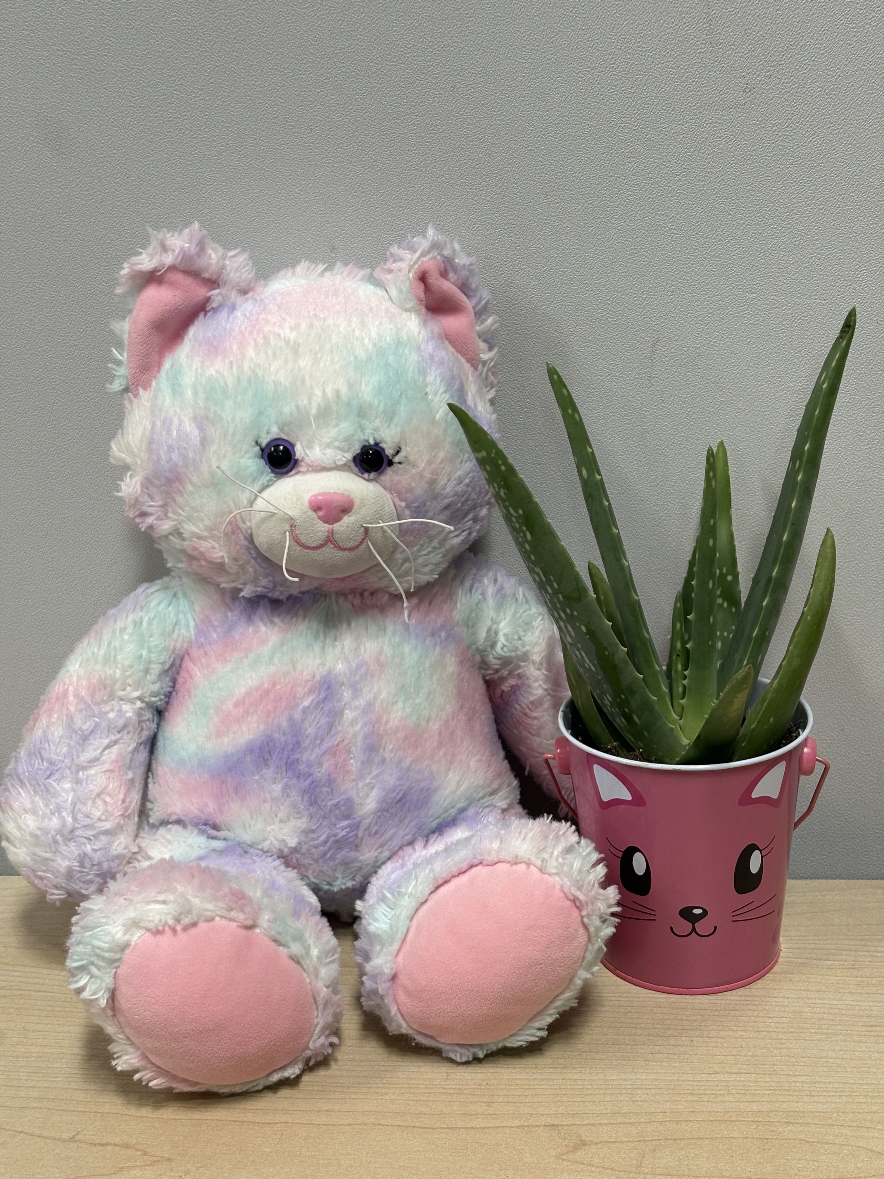 Pastel teddy bear beside a potted aloe plant in a pink cat bucket