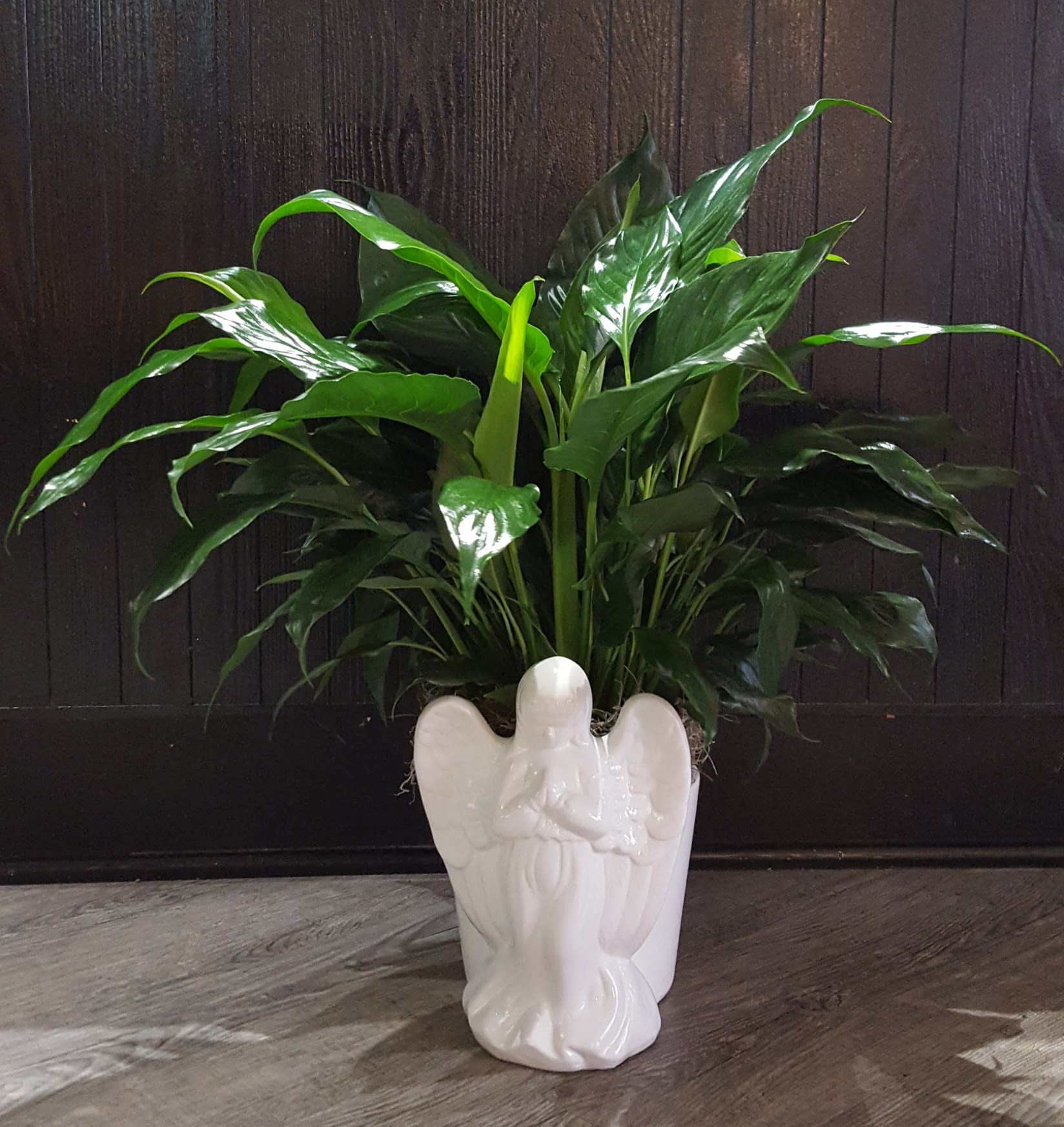 Potted green houseplant in a white angel-shaped ceramic planter