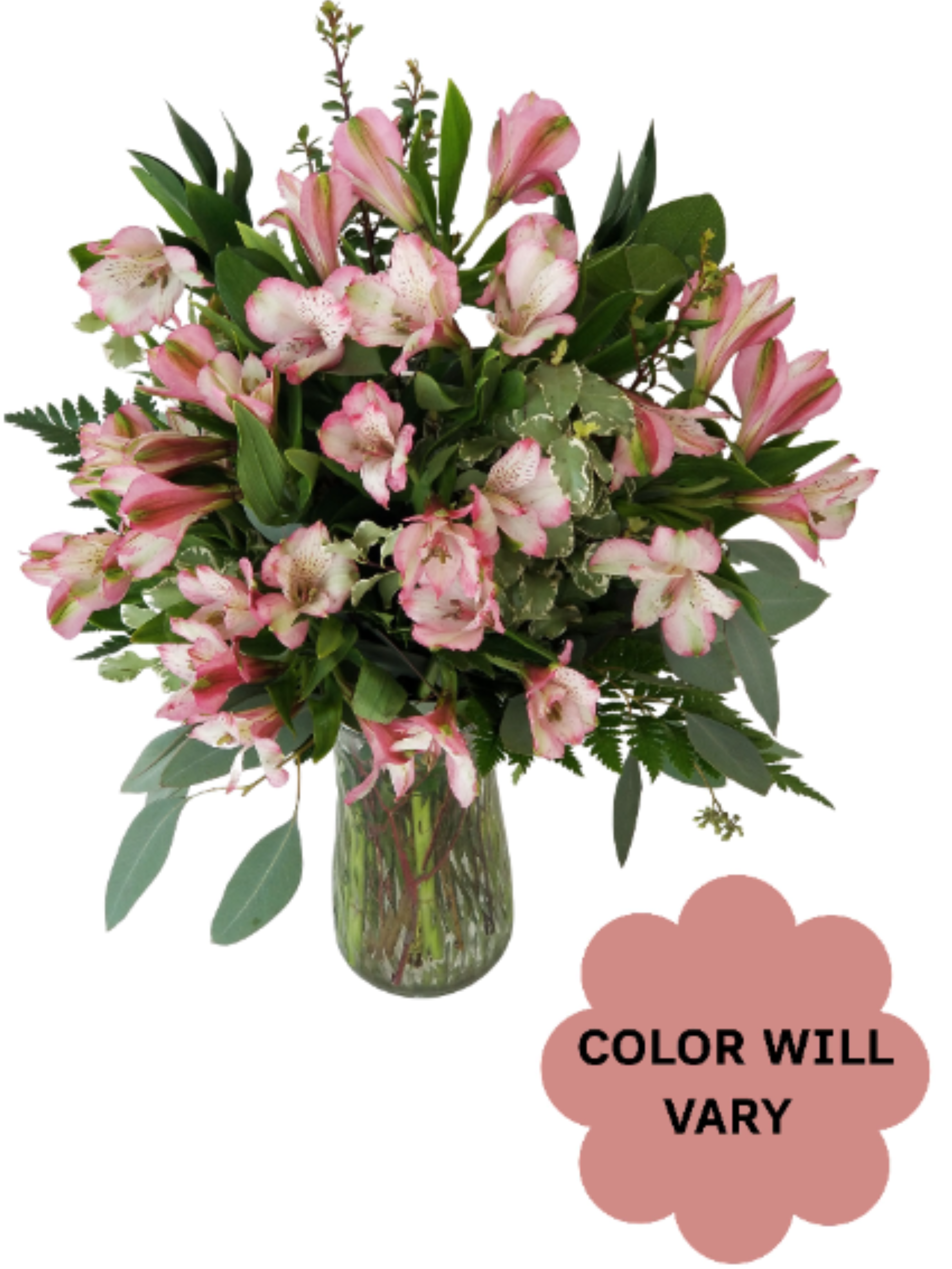 Simply Alstro - Select this clear glass vase of beautiful alstromeria.  Color of arrangement will vary.  We will pick the freshest blooms from the colors available in our cooler, and will do our best to accommodate any color requests left in special instructions.