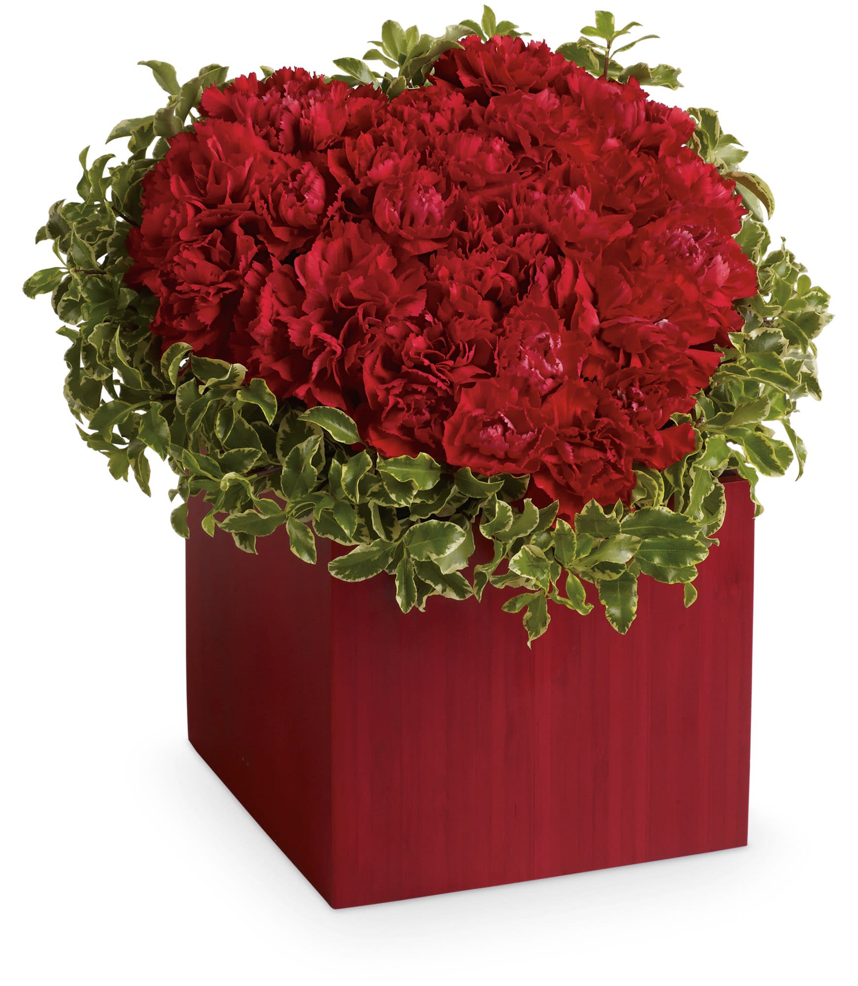 Red carnations in a red square container with variegated greenery