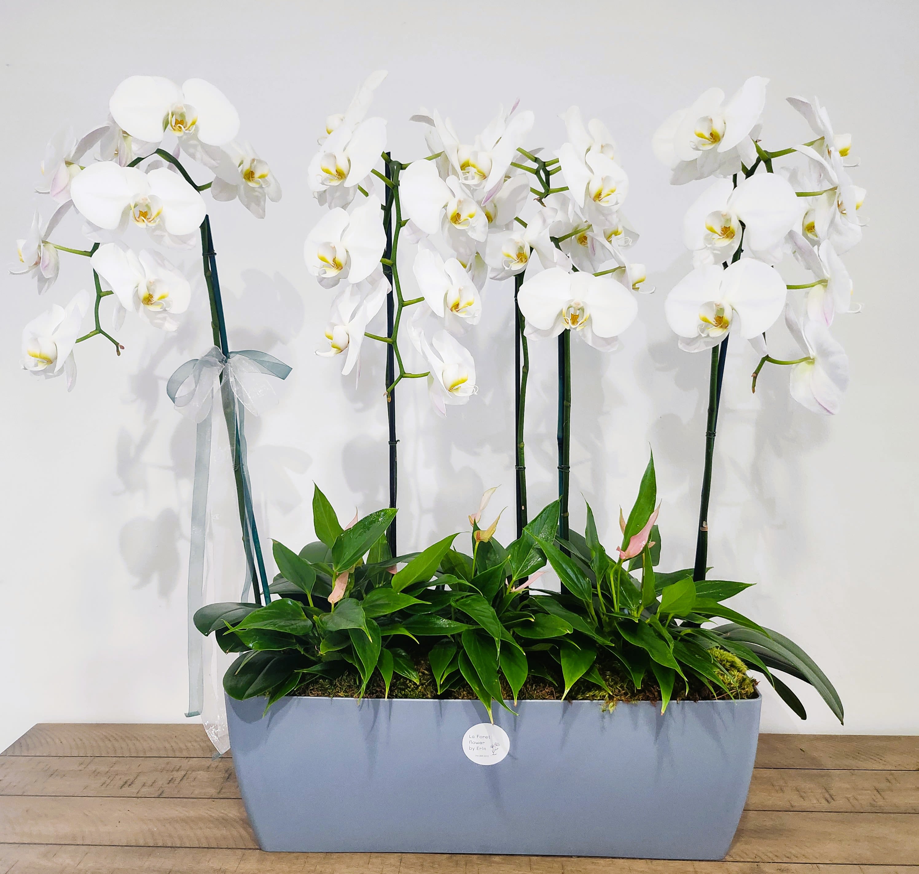 White orchids arranged in a rectangular planter with a ribbon bow