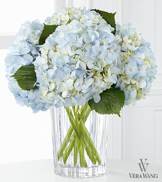 Blue hydrangea bouquet in a clear glass vase