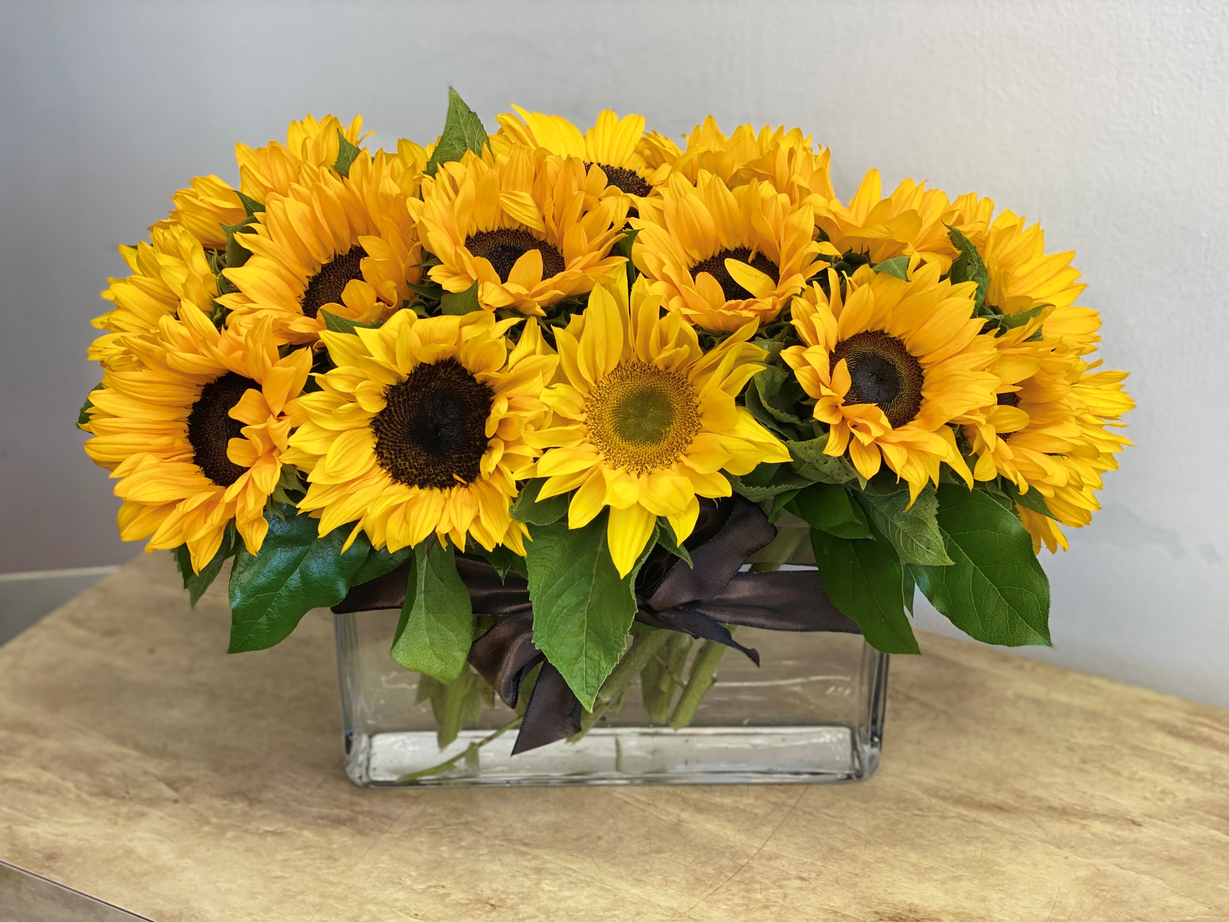 Sunflower arrangement in a rectangular glass vase with dark ribbon