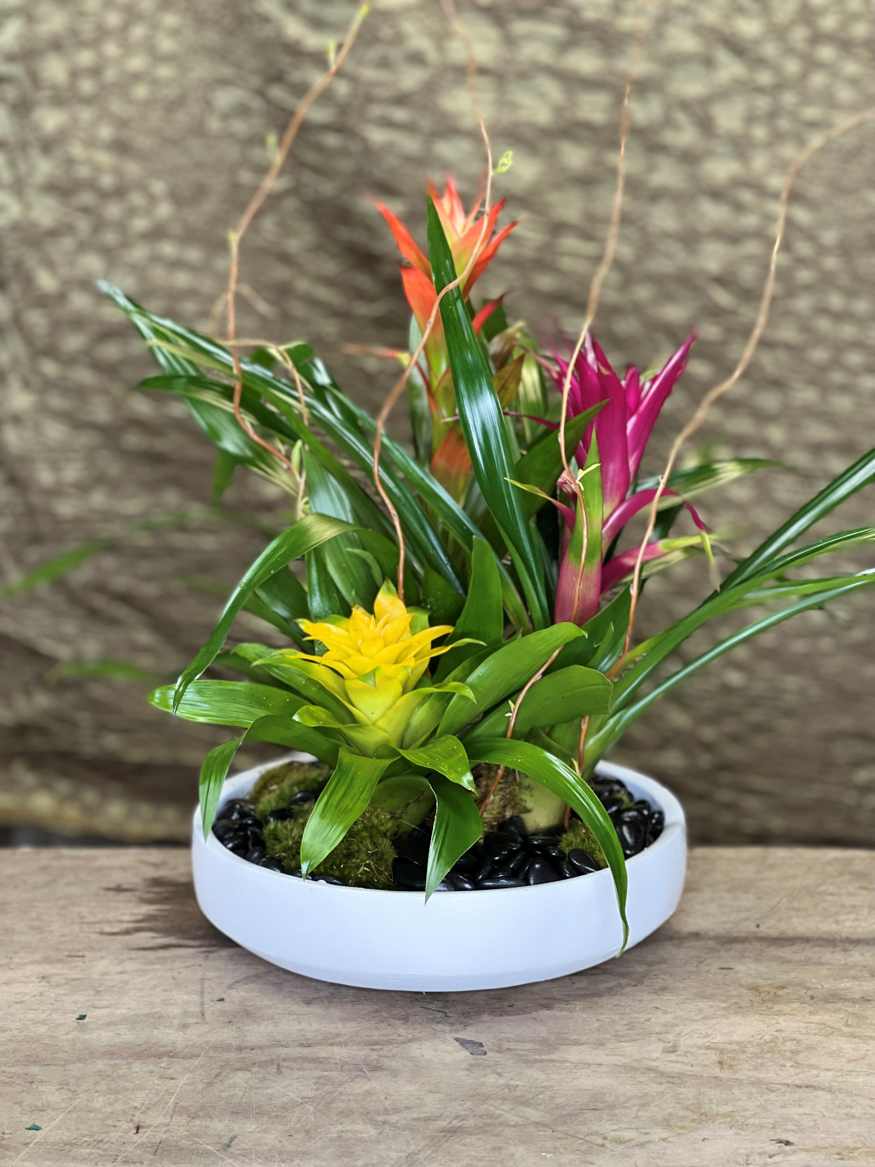 Tropical plant arrangement in a white bowl with yellow and pink blooms