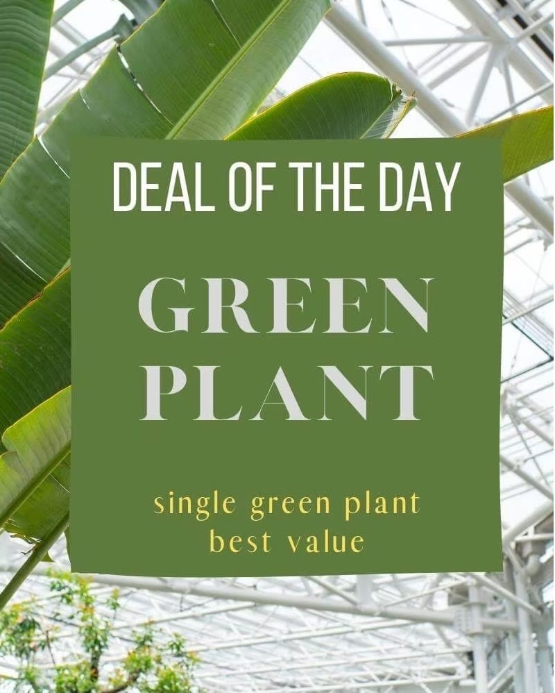Green plant leaves with a promotional sign reading "GREEN PLANT"