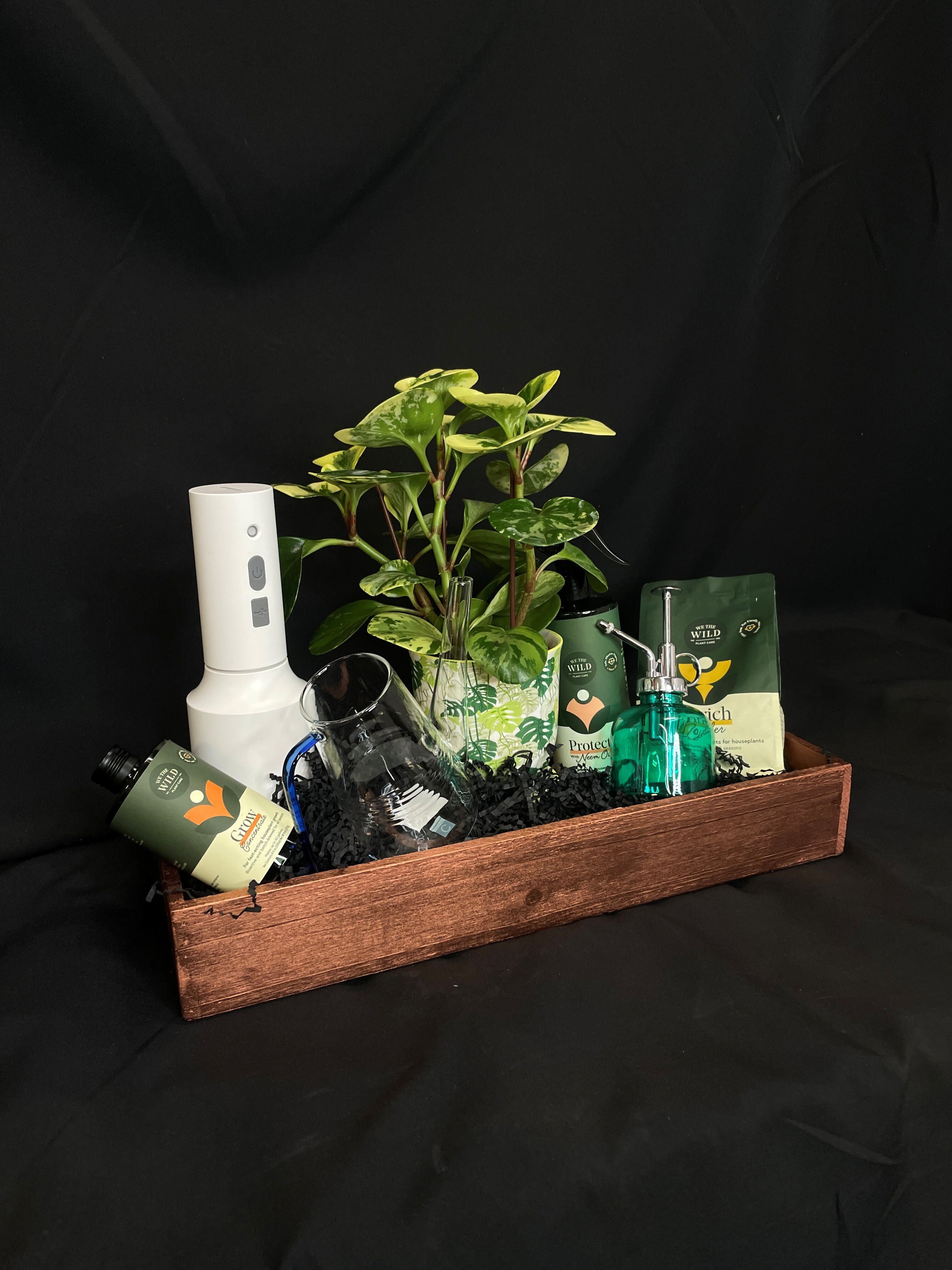 Houseplant gift basket with a potted plant and care items in a wooden tray
