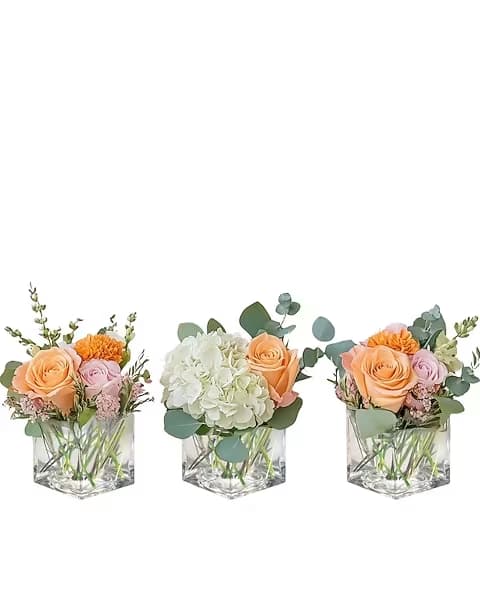 Three small floral arrangements in clear square vases with roses and hydrangeas