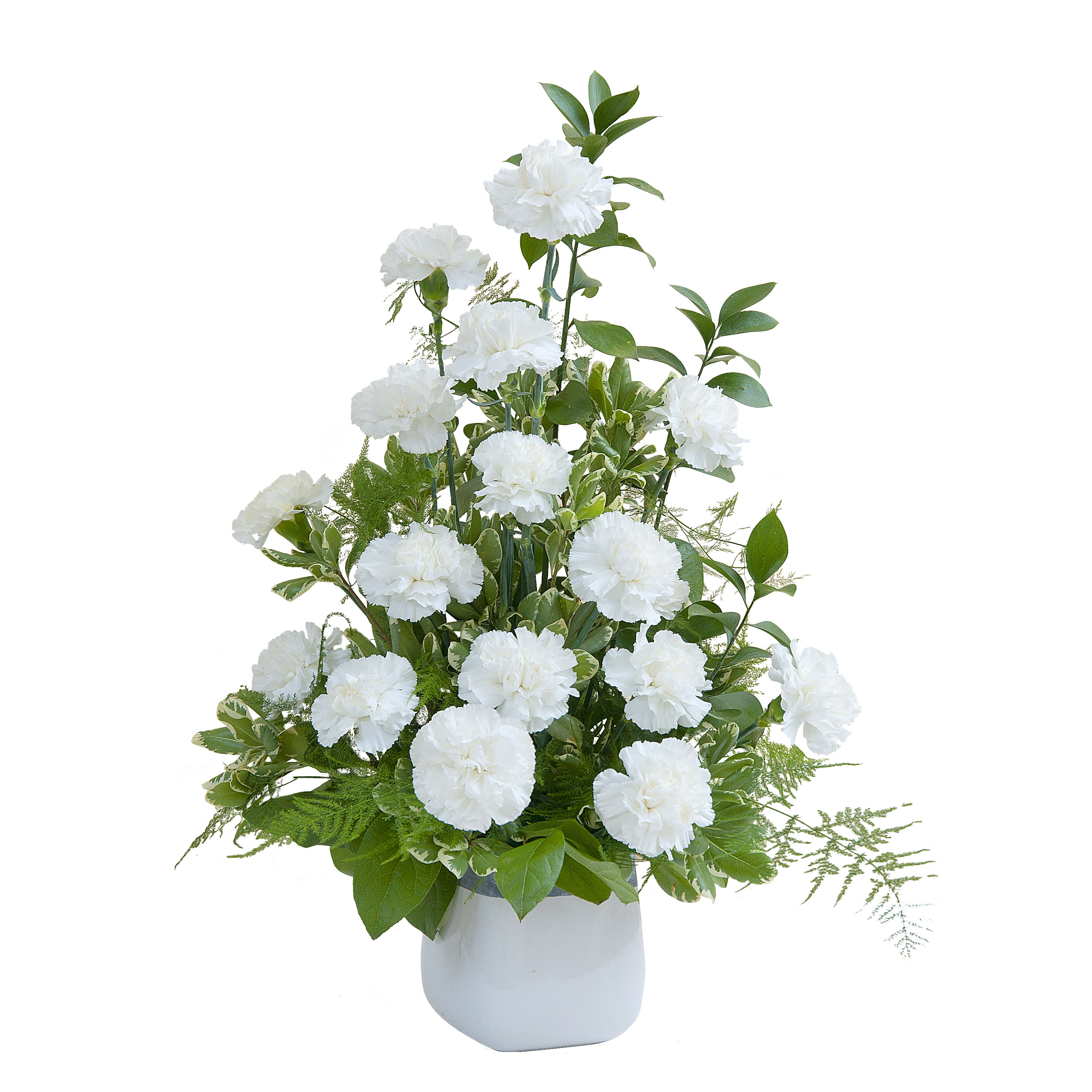 Simple Love Tribute  - A classic style design of white Carnations and premium foliage.	Approximately 12" wide by 24" high