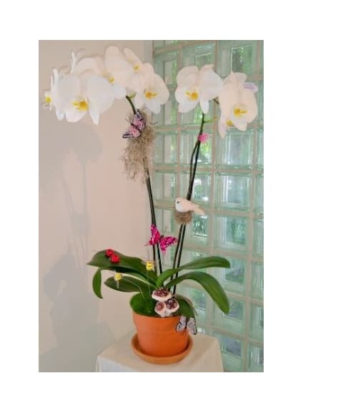 Potted white orchids with decorative butterflies in an orange pot