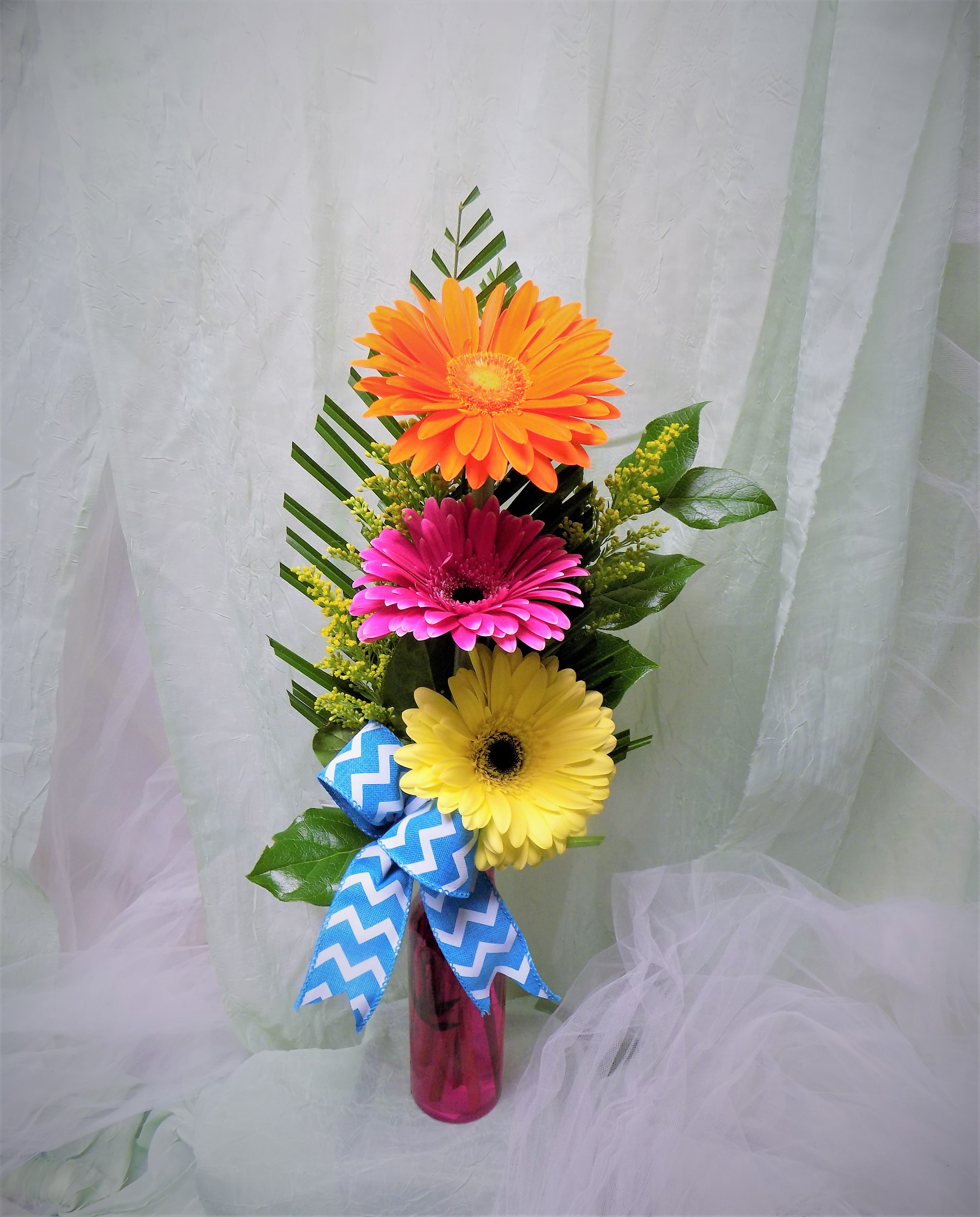 Three gerbera daisies in a pink vase with a blue ribbon