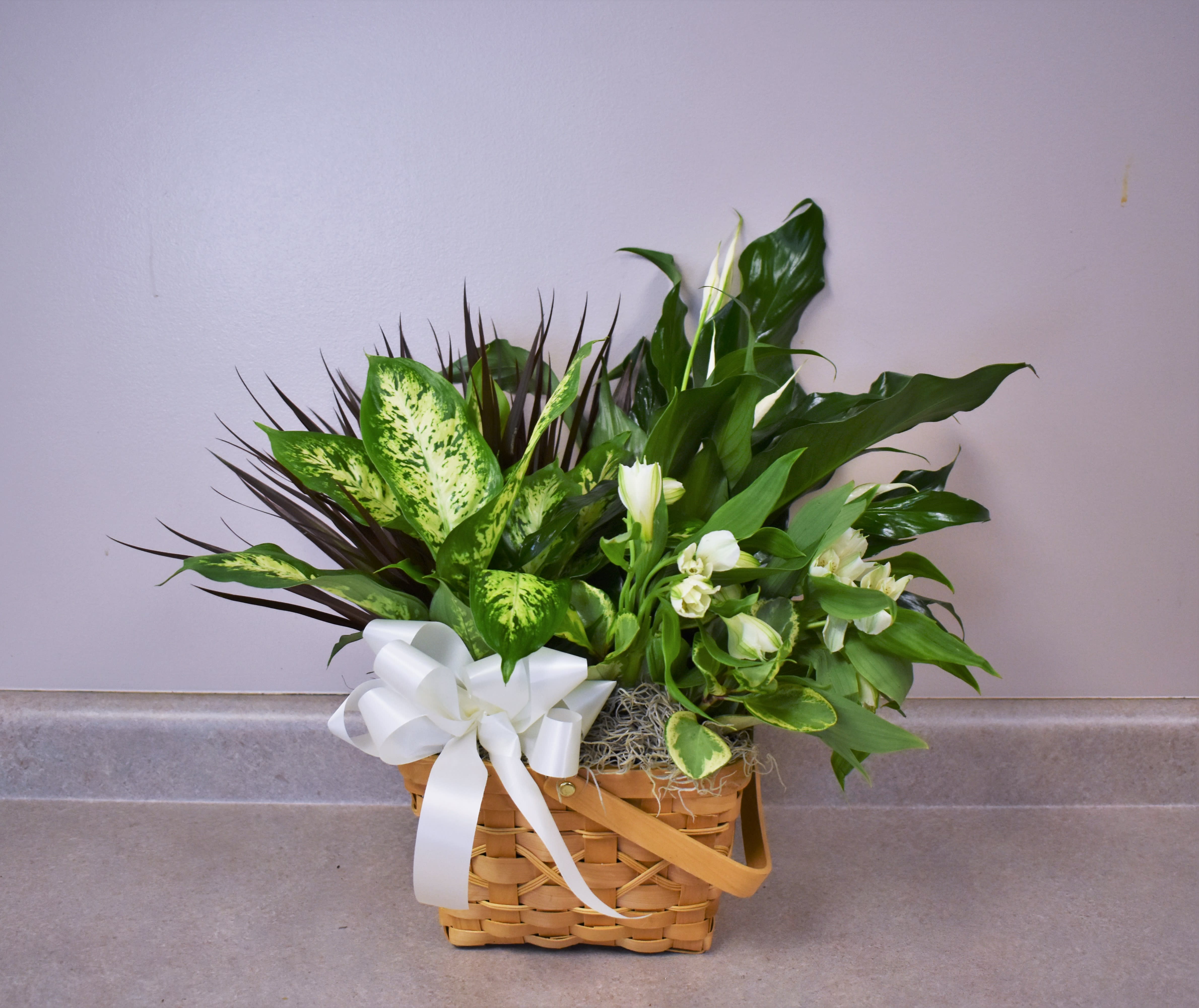 Peace &amp; Serenity Dishgarden -  A collection of beautiful plants accented by stems of white Peruvian lilies are designed in a natural woodchip rectangular basket accented with a white satin ribbon, making a gorgeous, and thoughtful gift. Approximately 18"H x 13"W