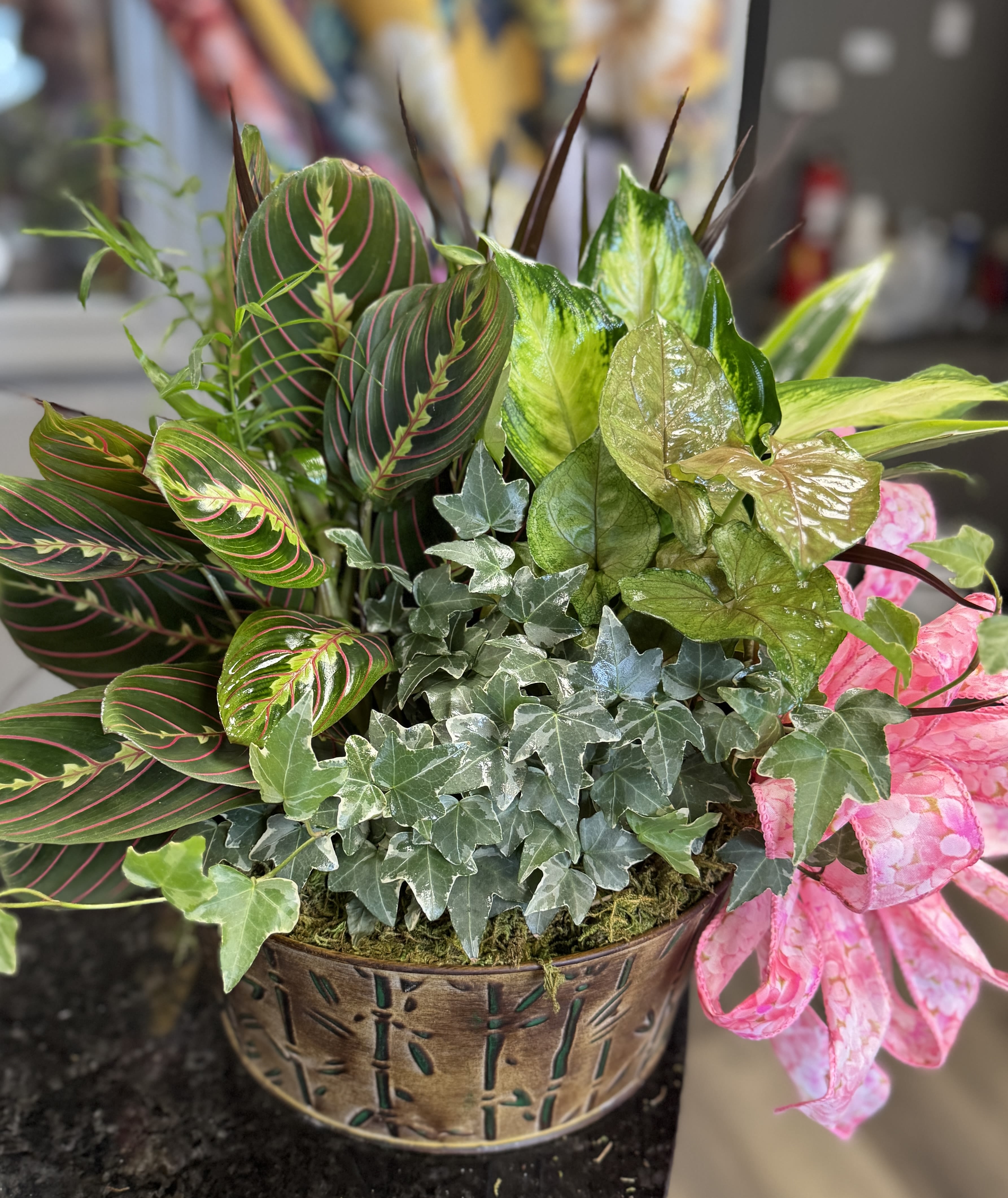 Mixed potted plant arrangement with patterned leaves in a decorative container.