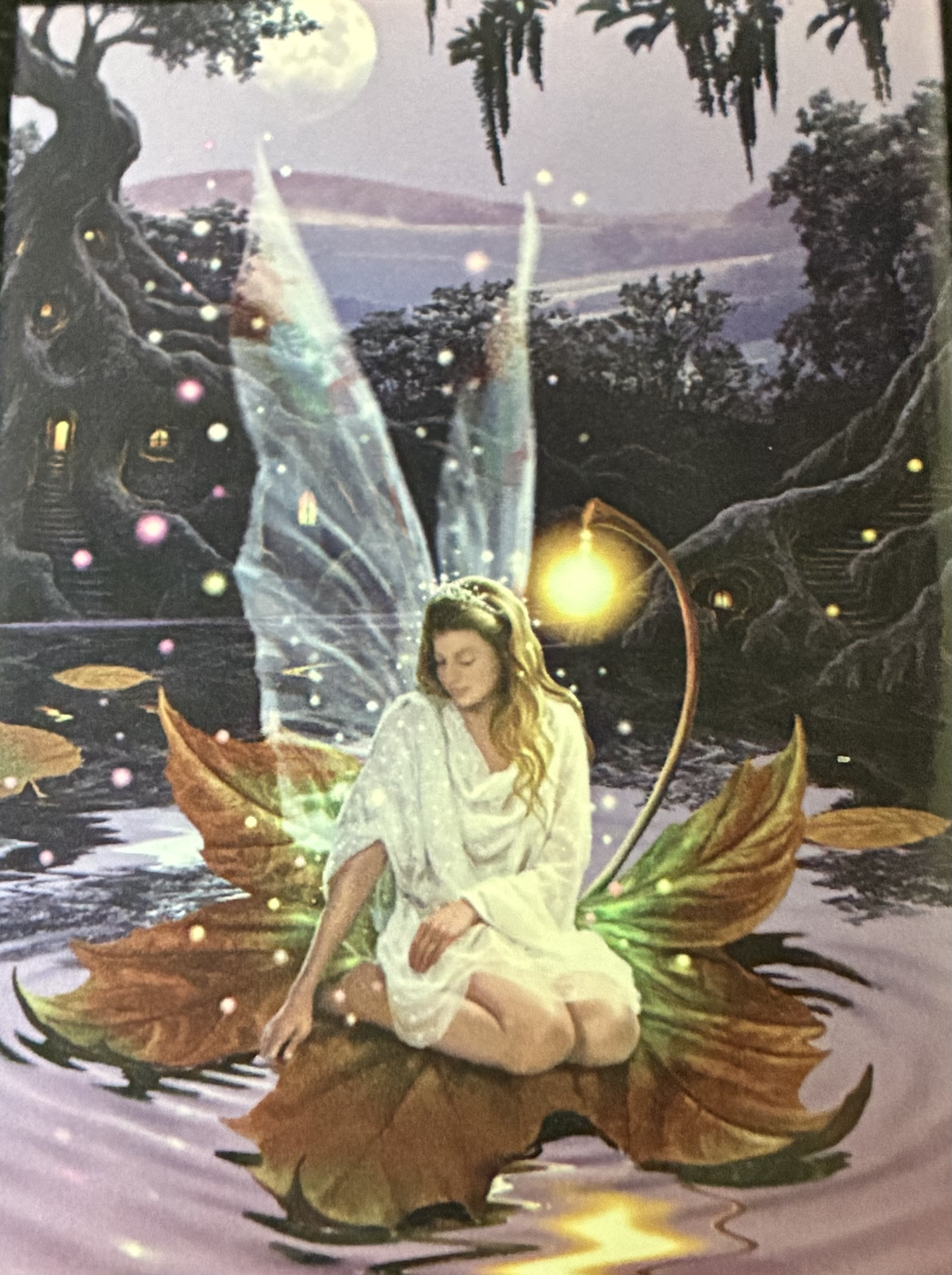 Fairy Magnet - Fairy Magnet.