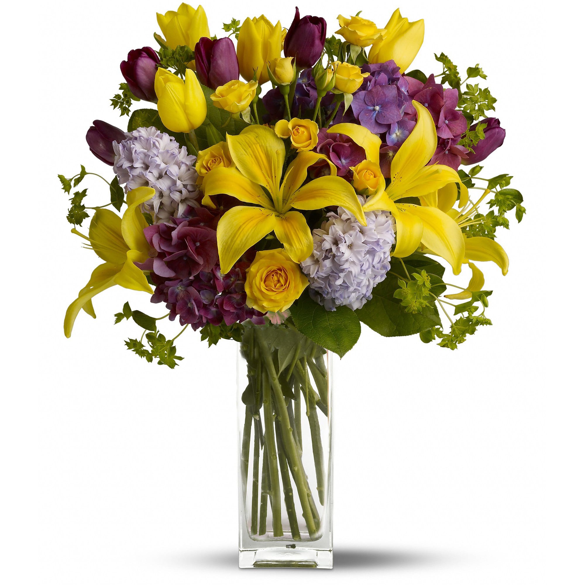 Teleflora's Spring Equinox  - As beautiful as the beginning of spring, this brilliant bouquet carries the feeling of the sunshine on your skin after a long cold winter.  Let the spring celebration begin with purple hydrangea and tulips, yellow spray roses, and even more tulips along with sunny asiatic lilies, lavender hyacinth plus green bupleurum and salal in a clearly beautiful bunch vase.  Approximately 13" W x 20" H  Orientation: All-Around      As Shown : T148-1A     Deluxe : T148-1B     Premium : T148-1C  