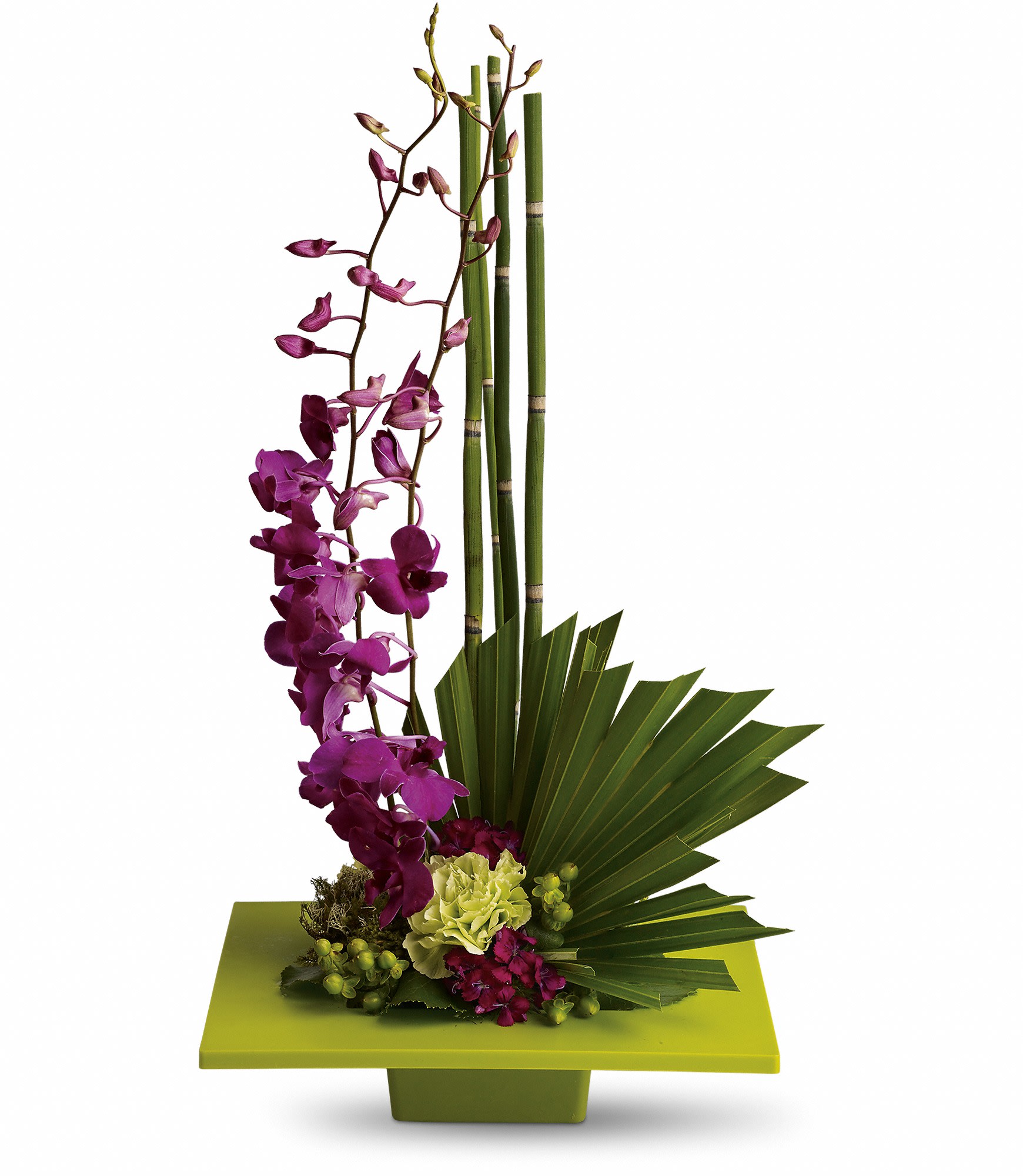 Tall modern arrangement with purple orchids, green hydrangea, and folded foliage in a flat green dish.