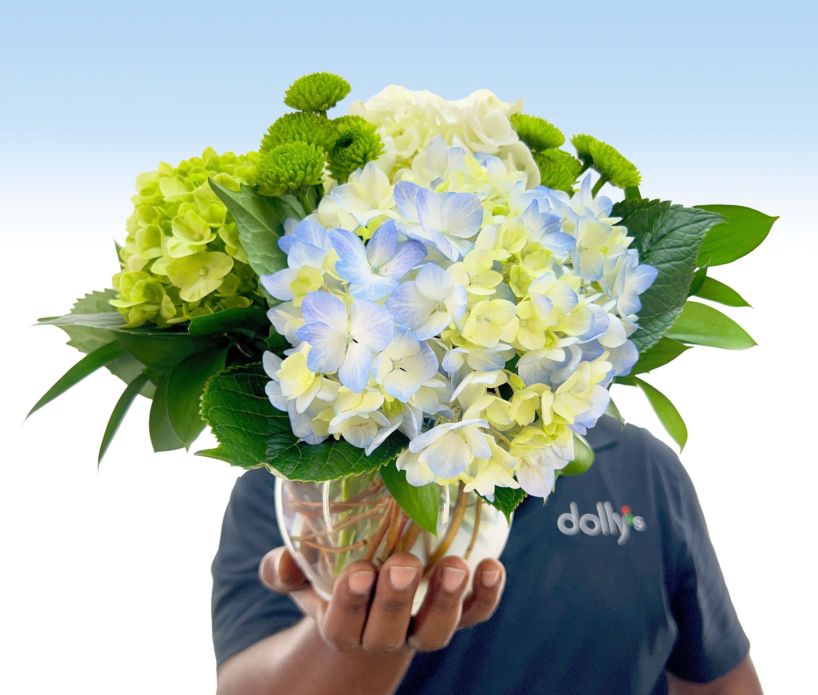 Delight  - Bright clusters of green, blue and creamy white hydrangeas make a fresh, garden‑style statement in this medium, rounded floral arrangement-perfect as a birthday bouquet, Mother's Day gift, or a "thinking of you" surprise. The lively pops of yellow roses and small green chrysanthemum pompons lift the cool pastels, so the person you're sending it to will feel genuinely celebrated and seen.  Tightly packed for a lush, textured look, the arrangement pairs large hydrangea heads with spray roses and fuller roses, all framed by dark glossy foliage and presented in a clear glass vase. The compact, hand‑held size reads as an easy everyday centerpiece for spring, a housewarming, wedding table accent, or a thoughtful thank-you or congratulations gift. Care is simple: keep water fresh and display out of direct heat to preserve the blooms.