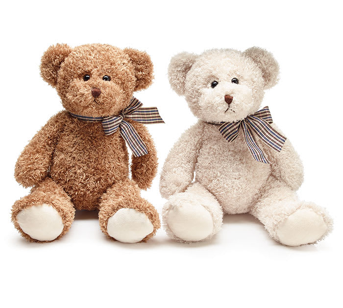 Two plush teddy bears with plaid bows on a white background