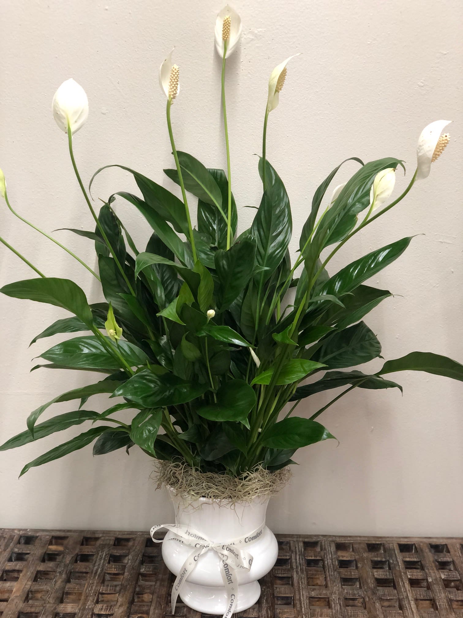 White peace lilies in a white vase with a ribbon