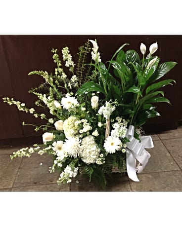 White floral sympathy arrangement with a large white ribbon