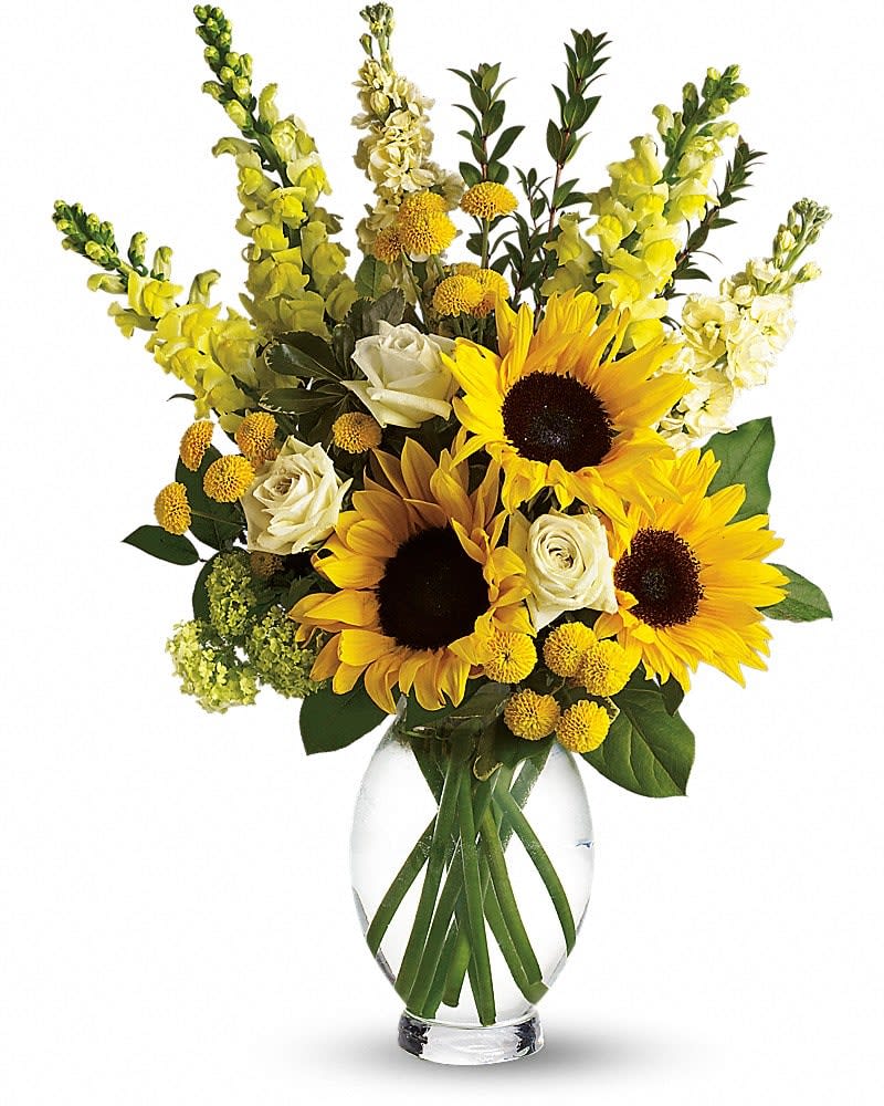 Here Comes The Sun by Teleflora - Here comes the sun and it's all bright, especially when it comes to this gorgeous bouquet. Anyone who receives this golden arrangement will definitely feel its warmth. As if green roses next to yellow sunflowers and snapdragons weren't brilliant enough, we've added white stock, green button spray chrysanthemums, salal, myrtle and pittosporum to an exclusive Inspiration Vase.