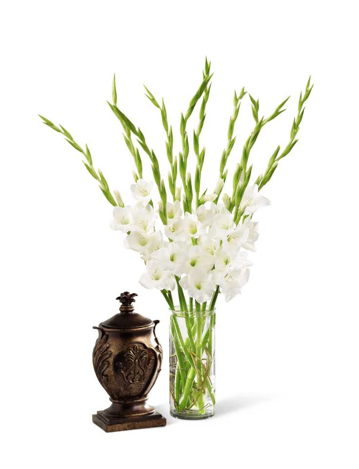  Peace Bouquet - The FTD At Peace Bouquet is an elegant and sophisticated symbol of sweet serenity. Brilliant white gladiolus are arranged in a clear glass cylinder vase to create a lovely way to convey your deepest sympathies for their loss. URN NOT INCLUDED