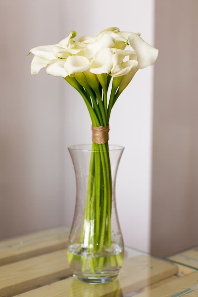 Tall bouquet of white calla lilies in a clear glass vase