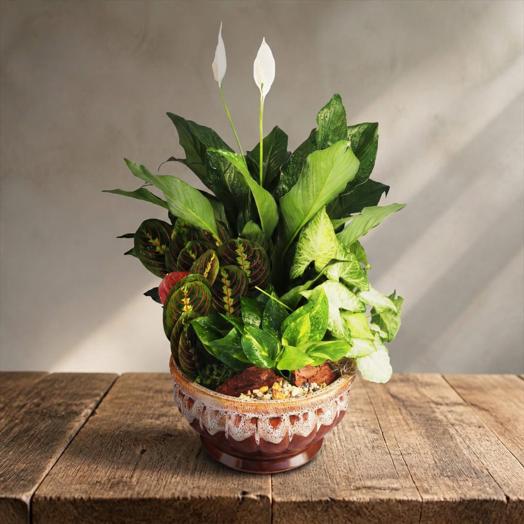 Potted arrangement of green houseplants with two white peace lilies