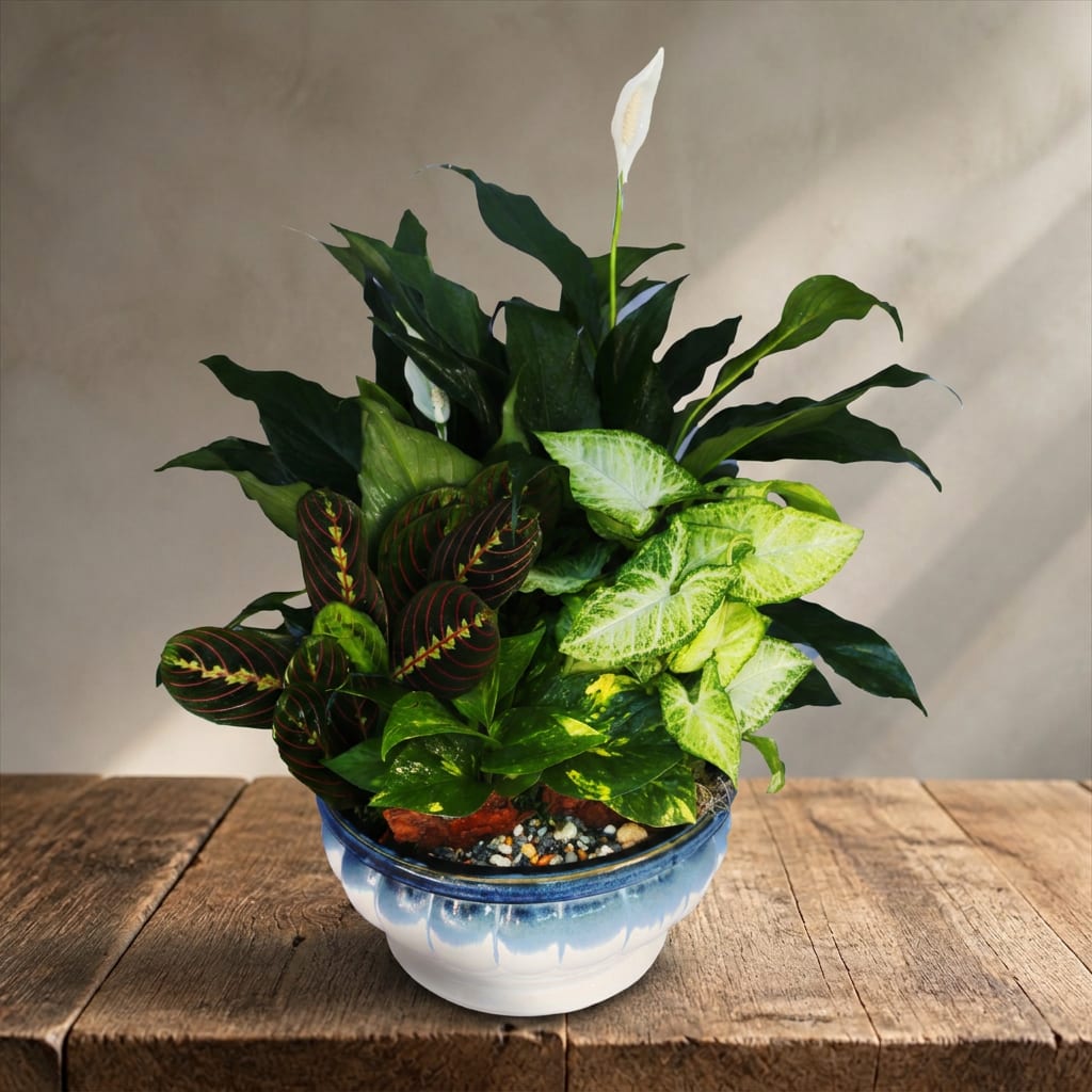 Potted houseplant arrangement with a white peace lily bloom