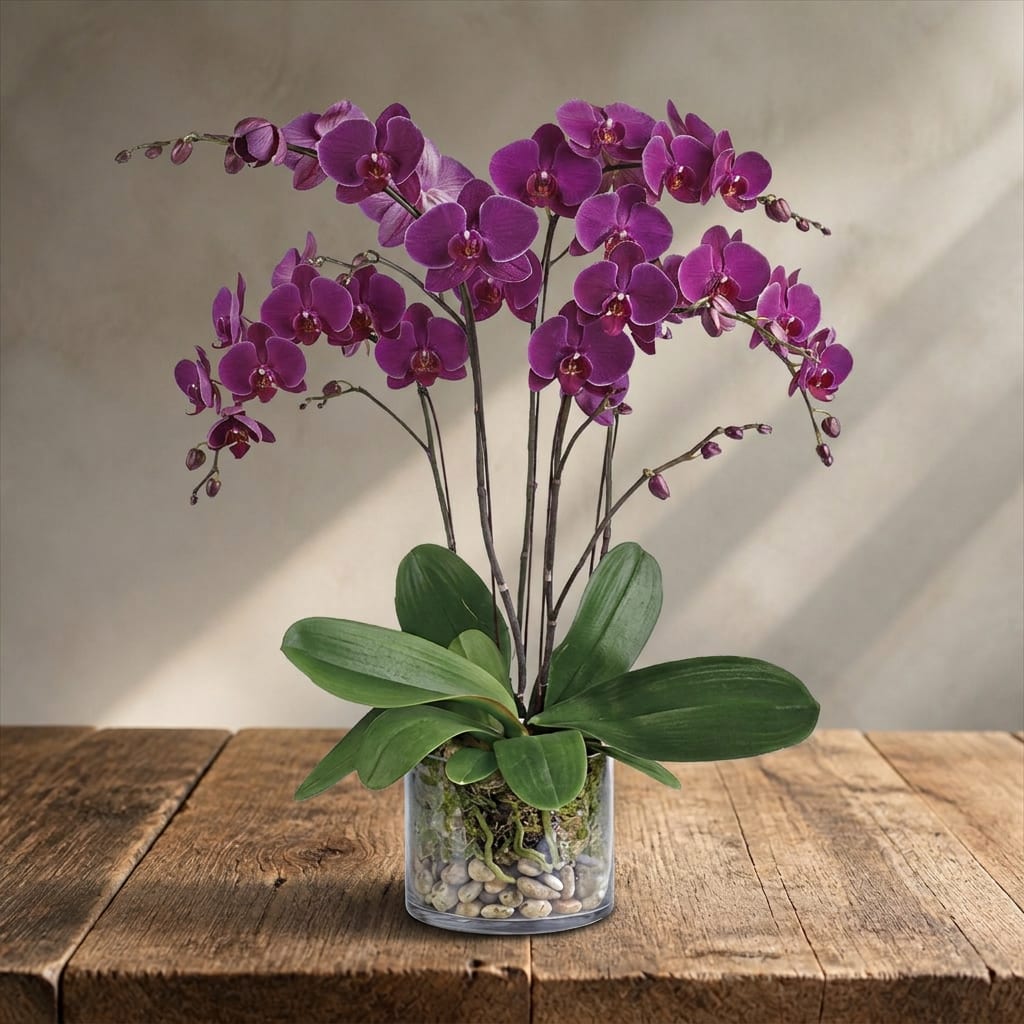 Purple orchid plant in a clear glass container on a wooden table