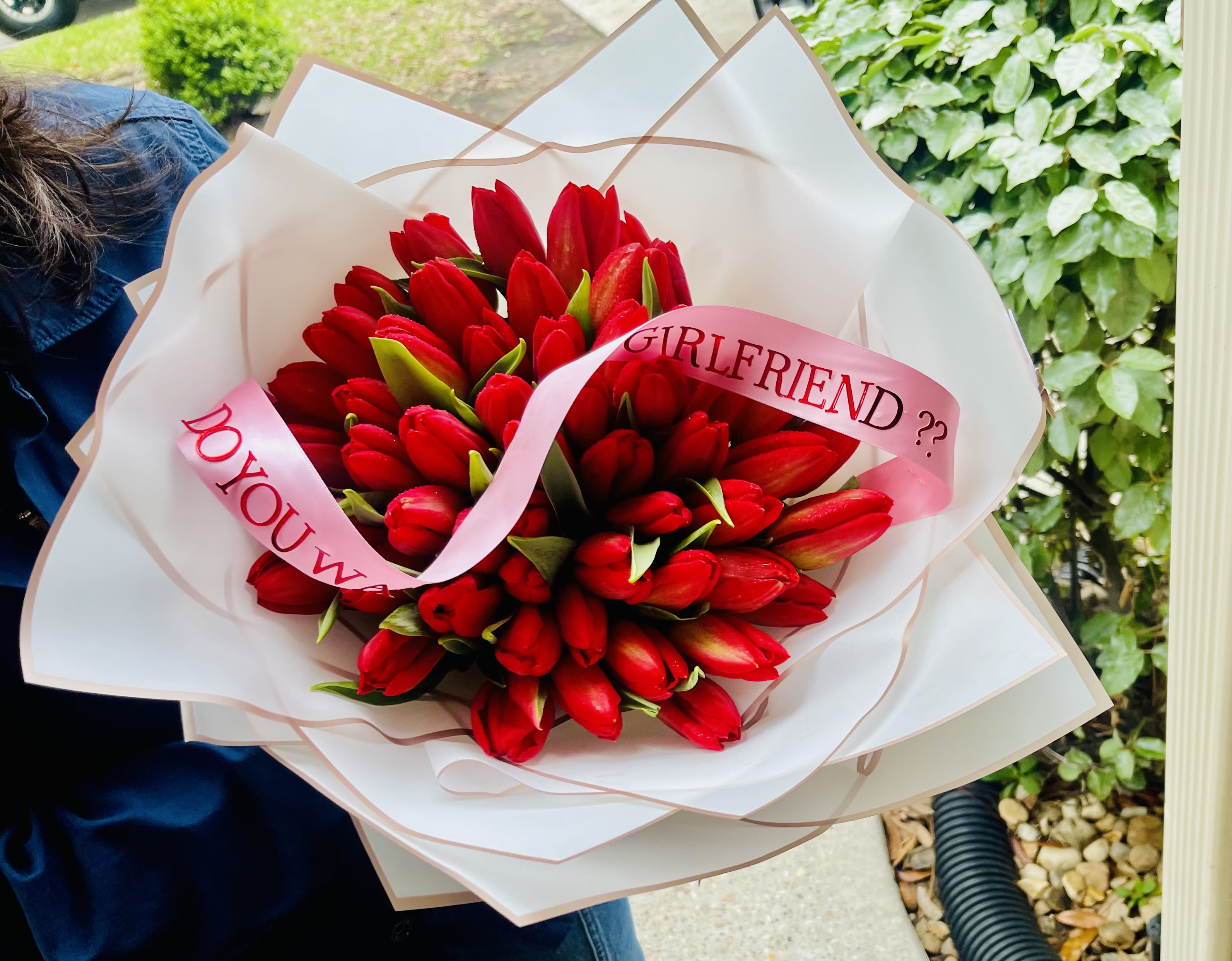 Bouquet of red tulips wrapped in white paper with pink ribbon