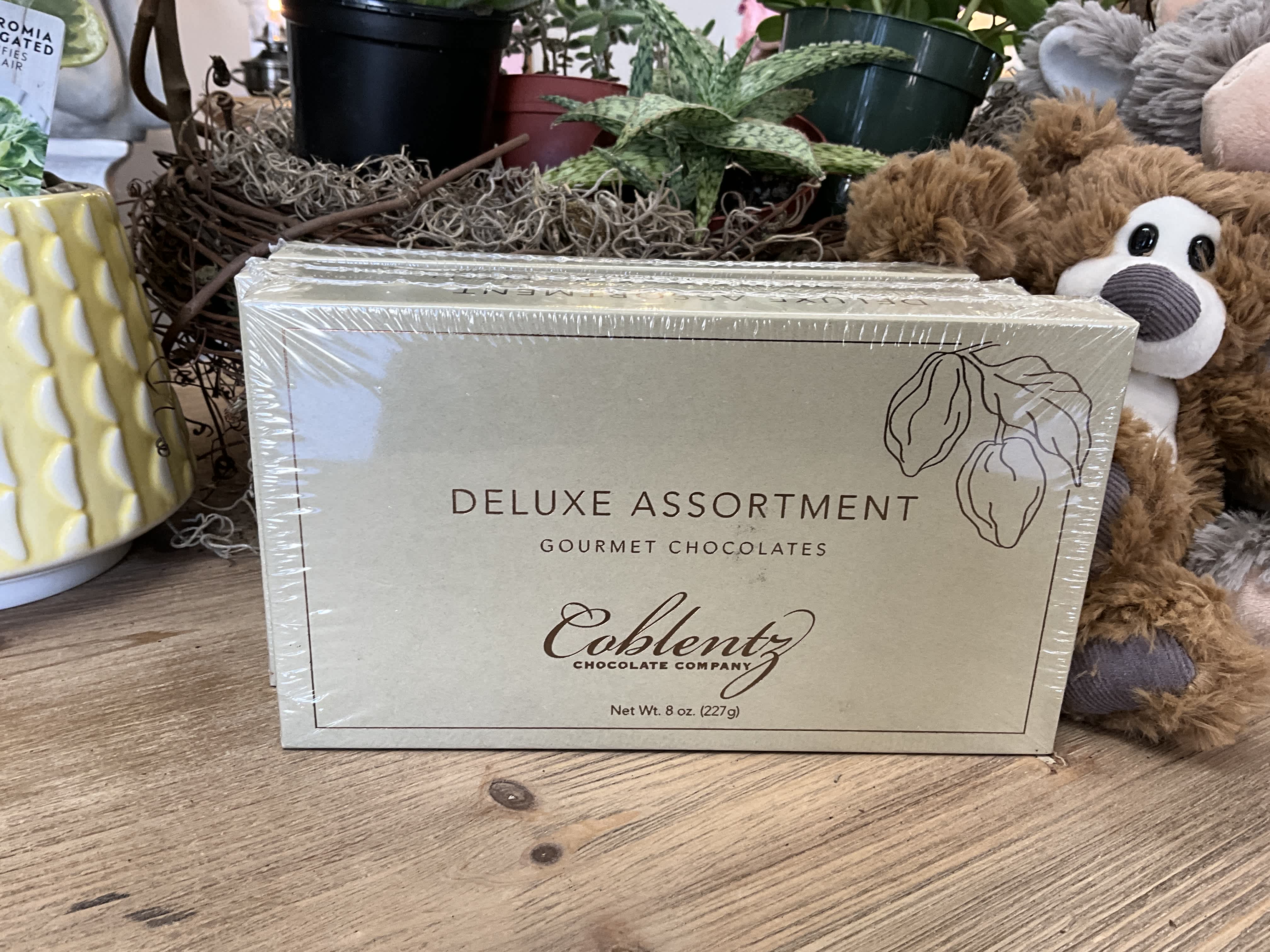 Box of gourmet chocolates beside a plush teddy bear and potted plants