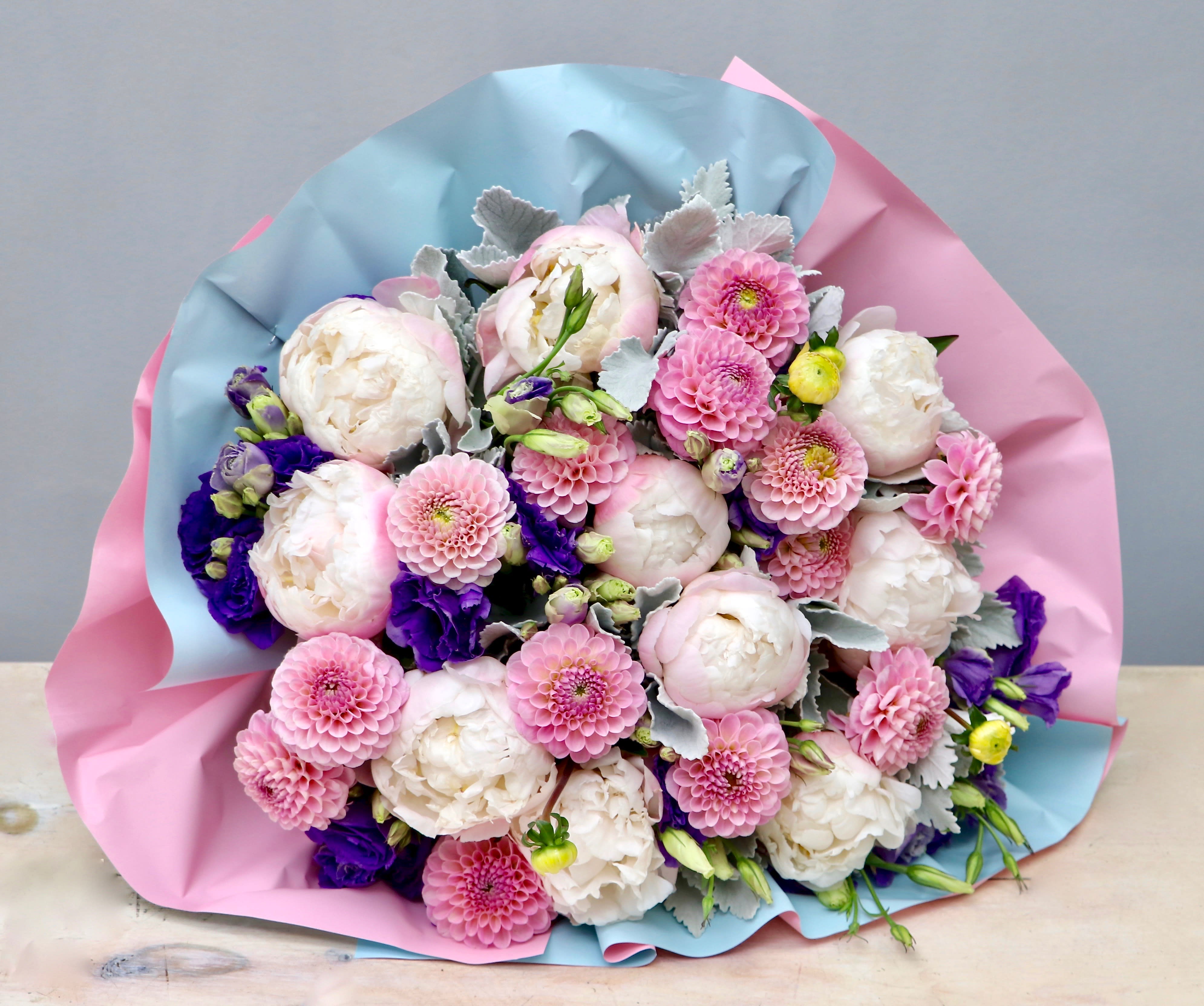 Round bouquet of blush peonies and pink dahlias with purple blooms in pink and blue wrapping paper