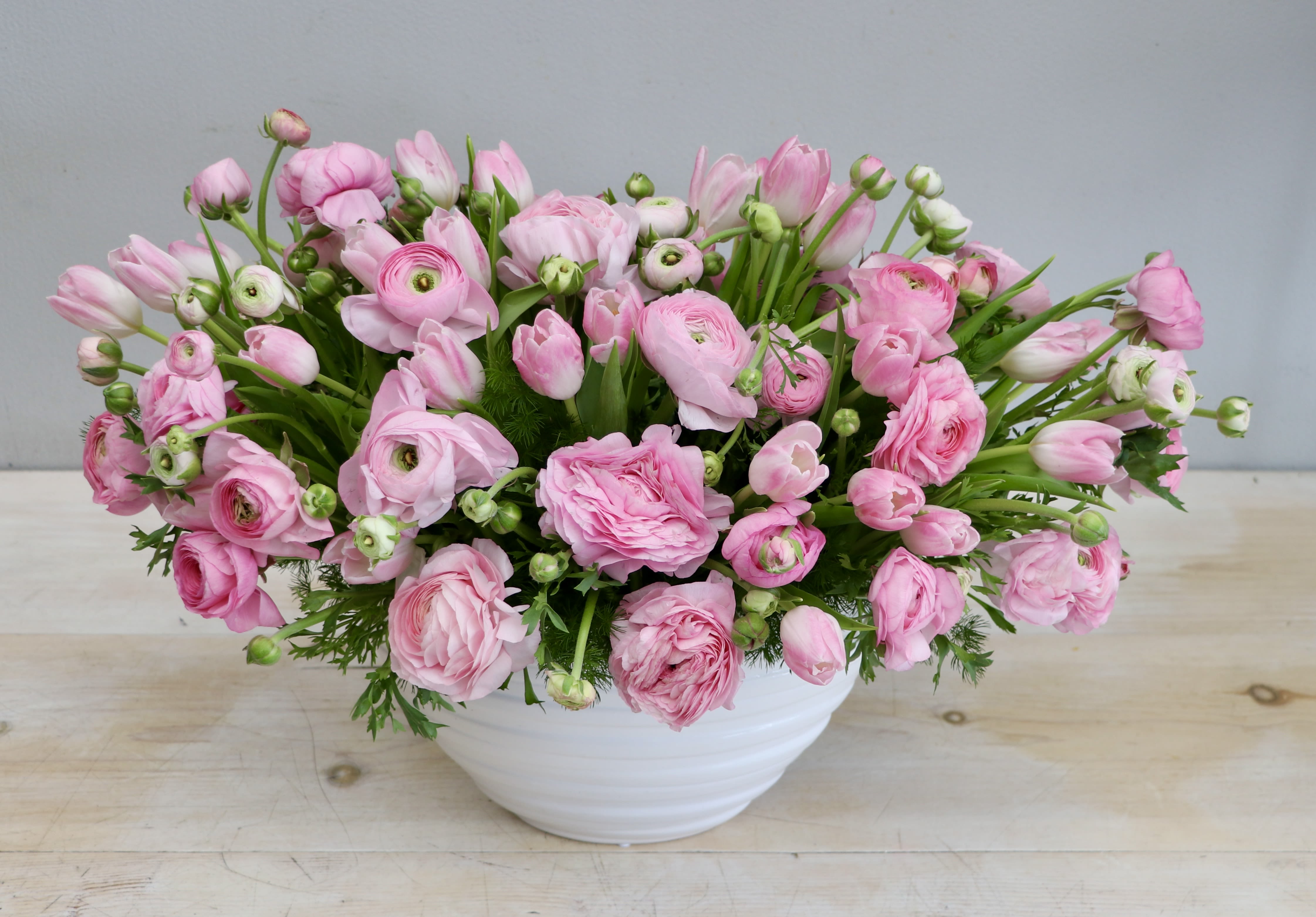 Low white bowl filled with lush light pink ranunculus blooms and buds in a dense, rounded arrangement