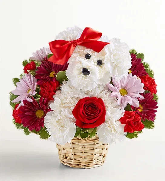 Flower basket arranged as a white dog with a red bow and rose nose