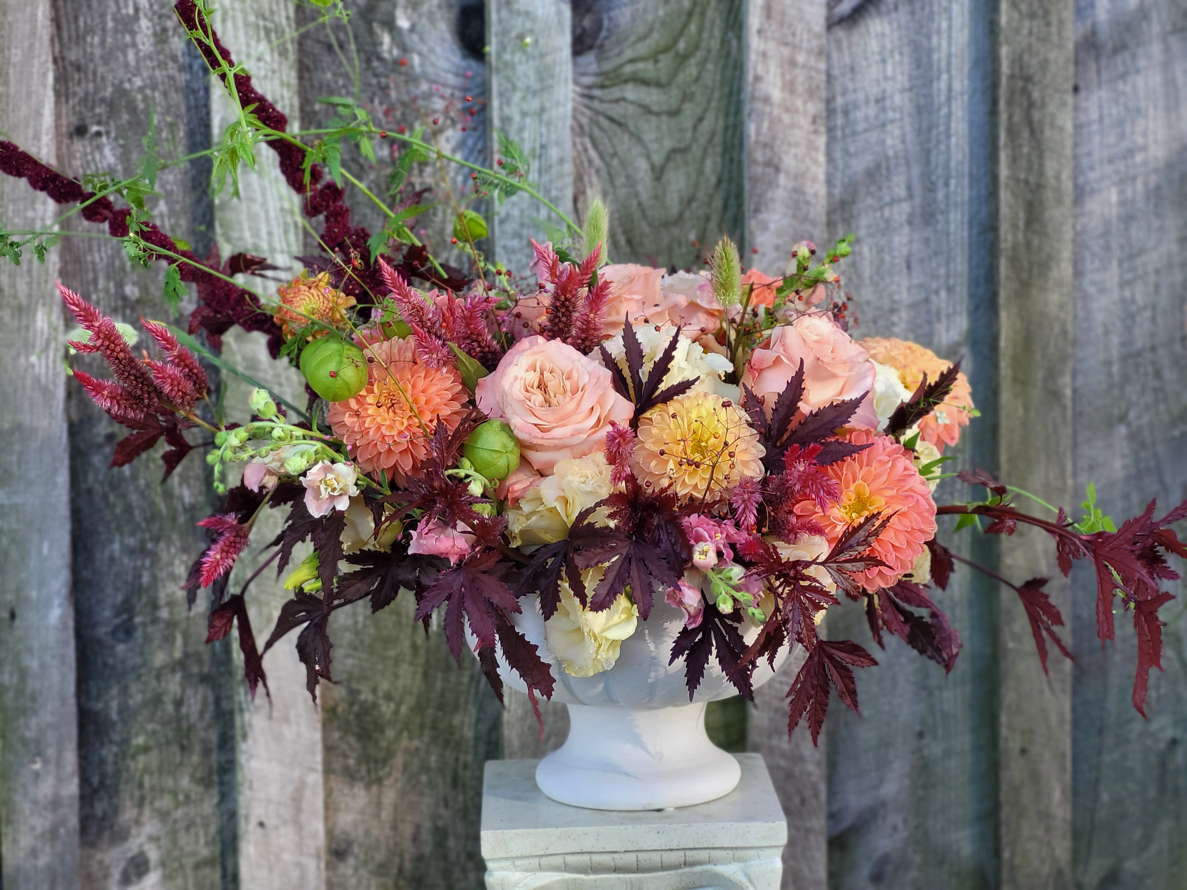 Fall into Luxury - A ceramic compote overflowing with stunning autumn blooms and designed with elegance. Flowers include dahlias, roses, balloon vine, celosia and more! This piece will be the center of attention in any space!
