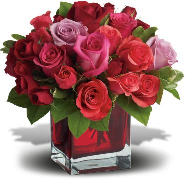 Compact arrangement of red, pink, and lavender roses in a red glass cube vase
