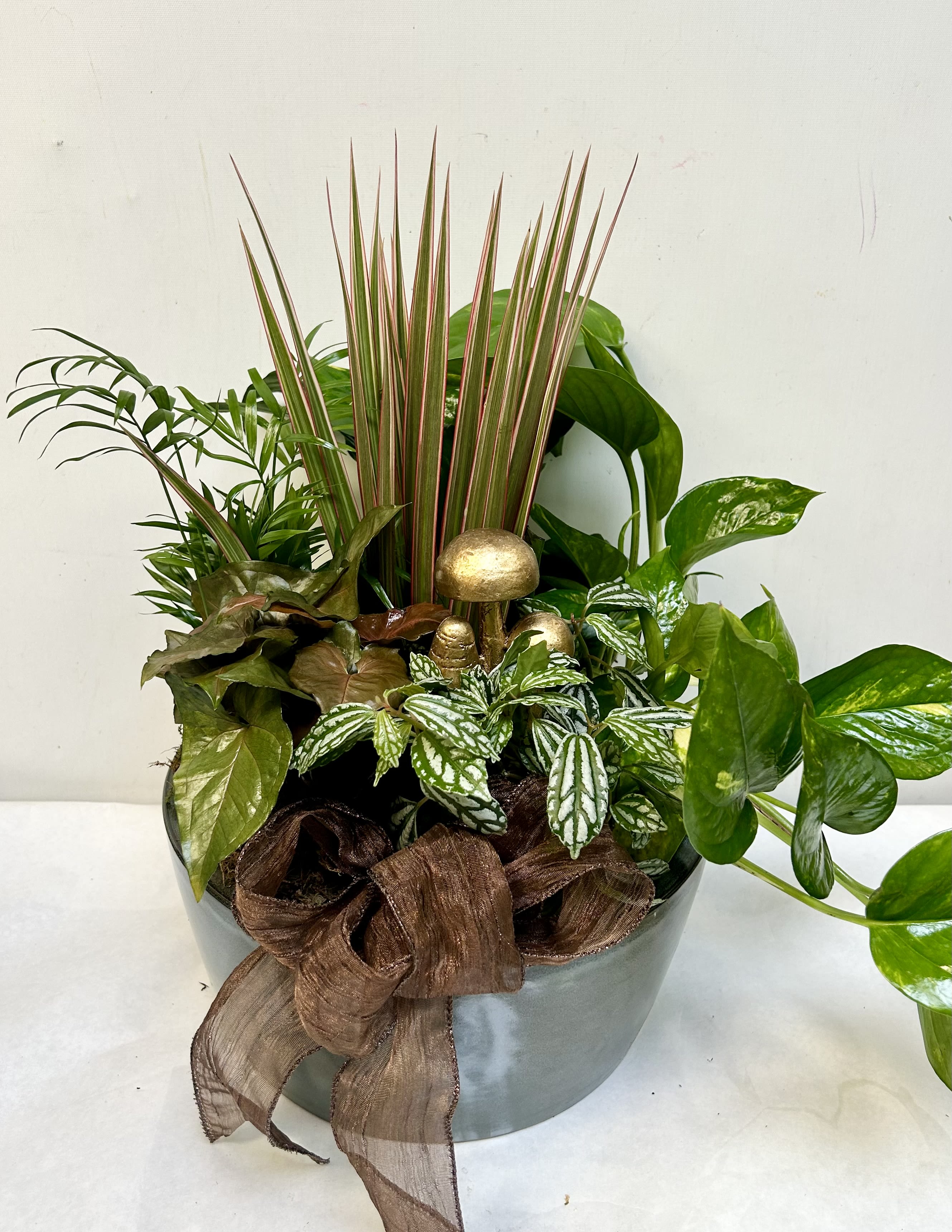 Mixed potted plants in a gray container with a brown ribbon