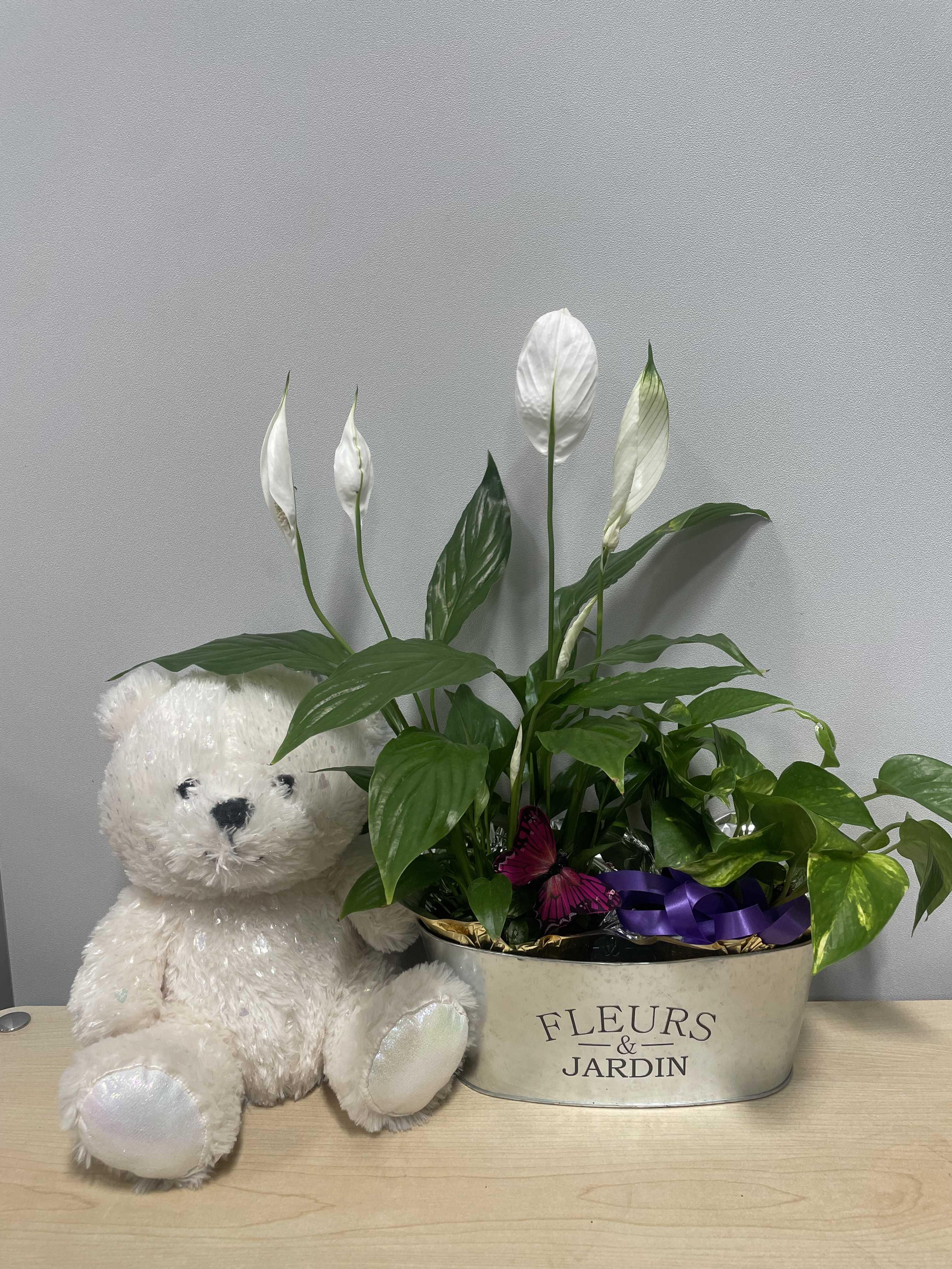 Potted peace lily with a teddy bear in a metal container