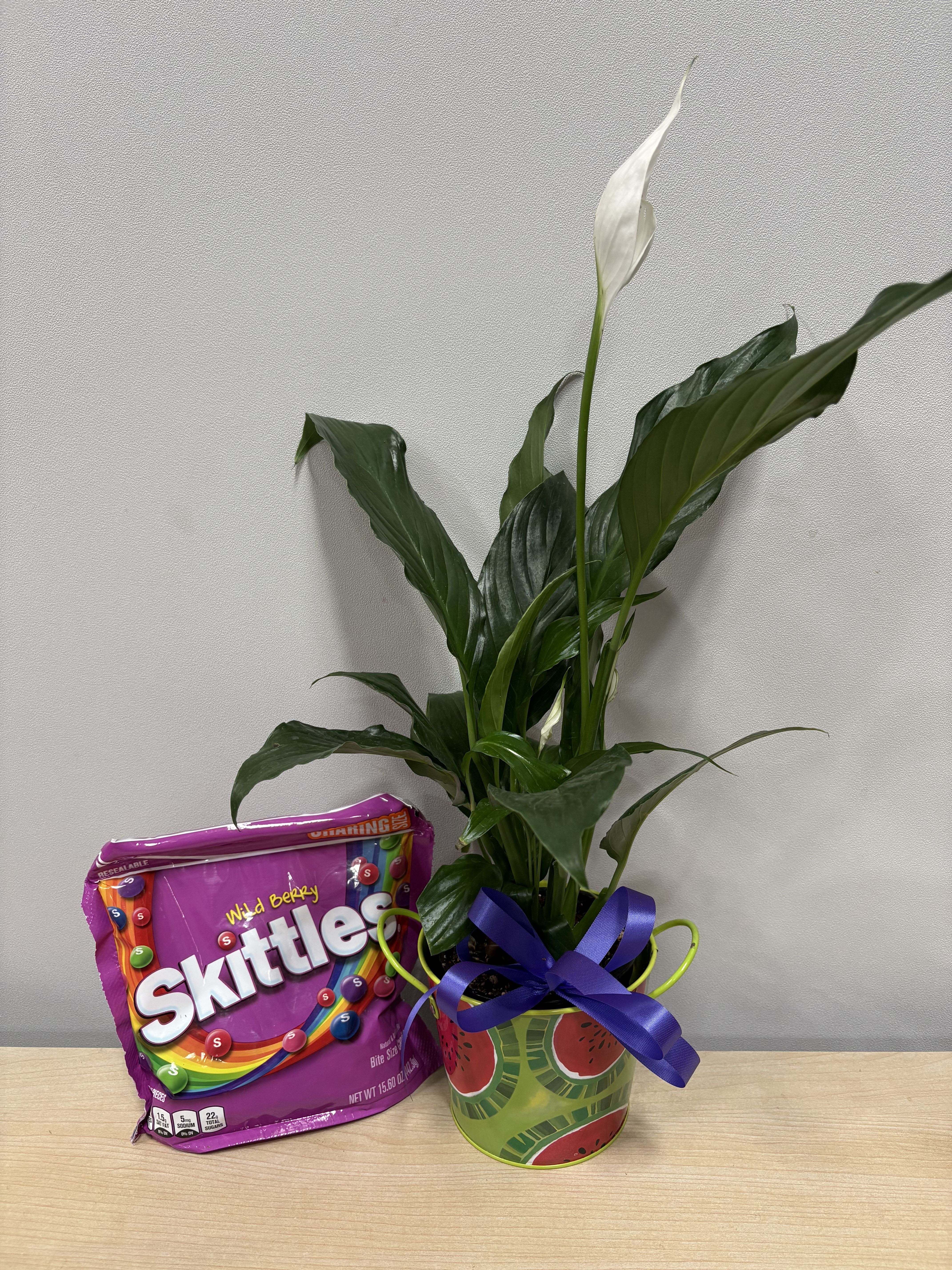 Potted peace lily with a Skittles candy bag and ribbon-tied container