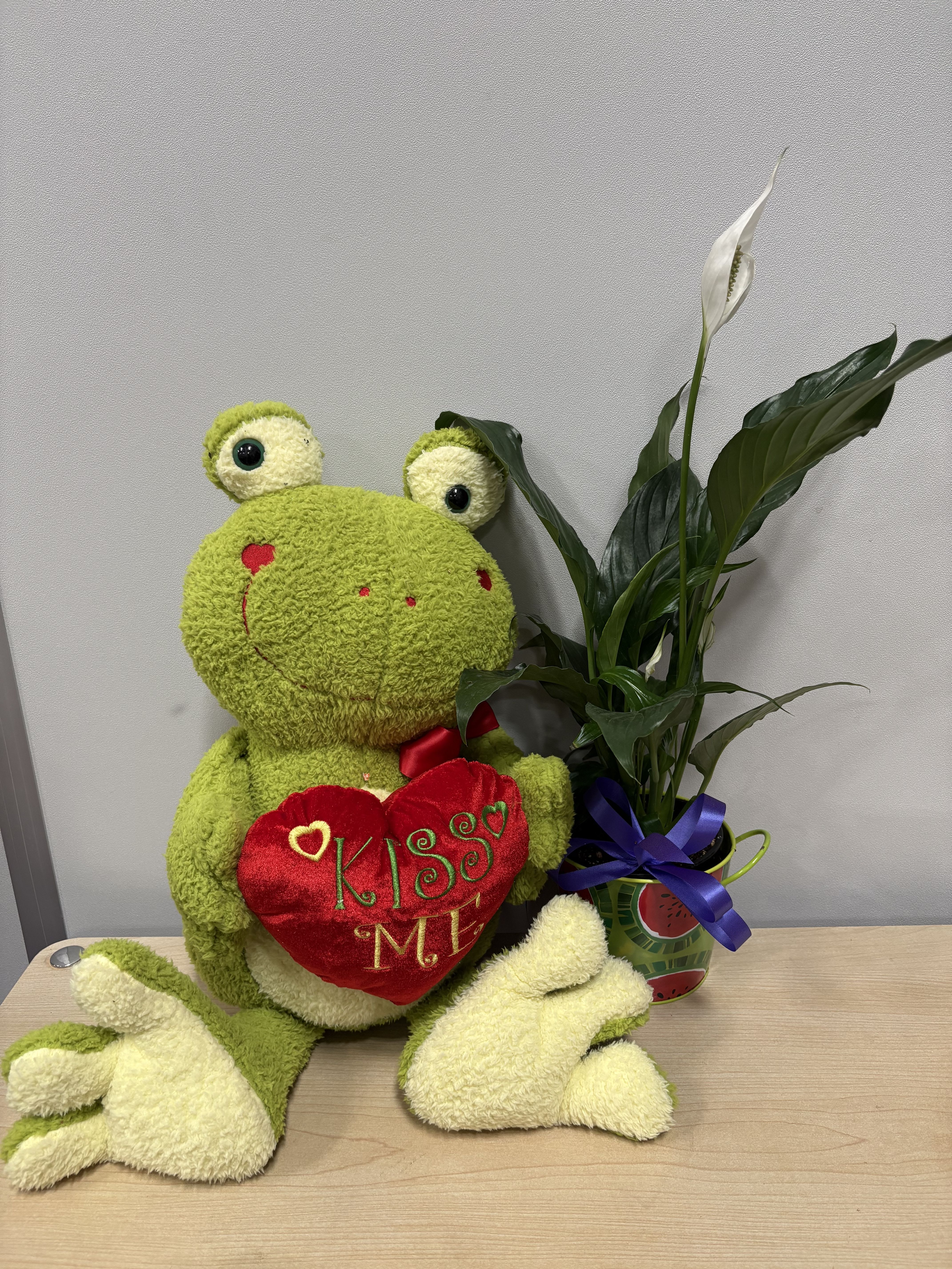 Plush frog holding a heart beside a potted peace lily