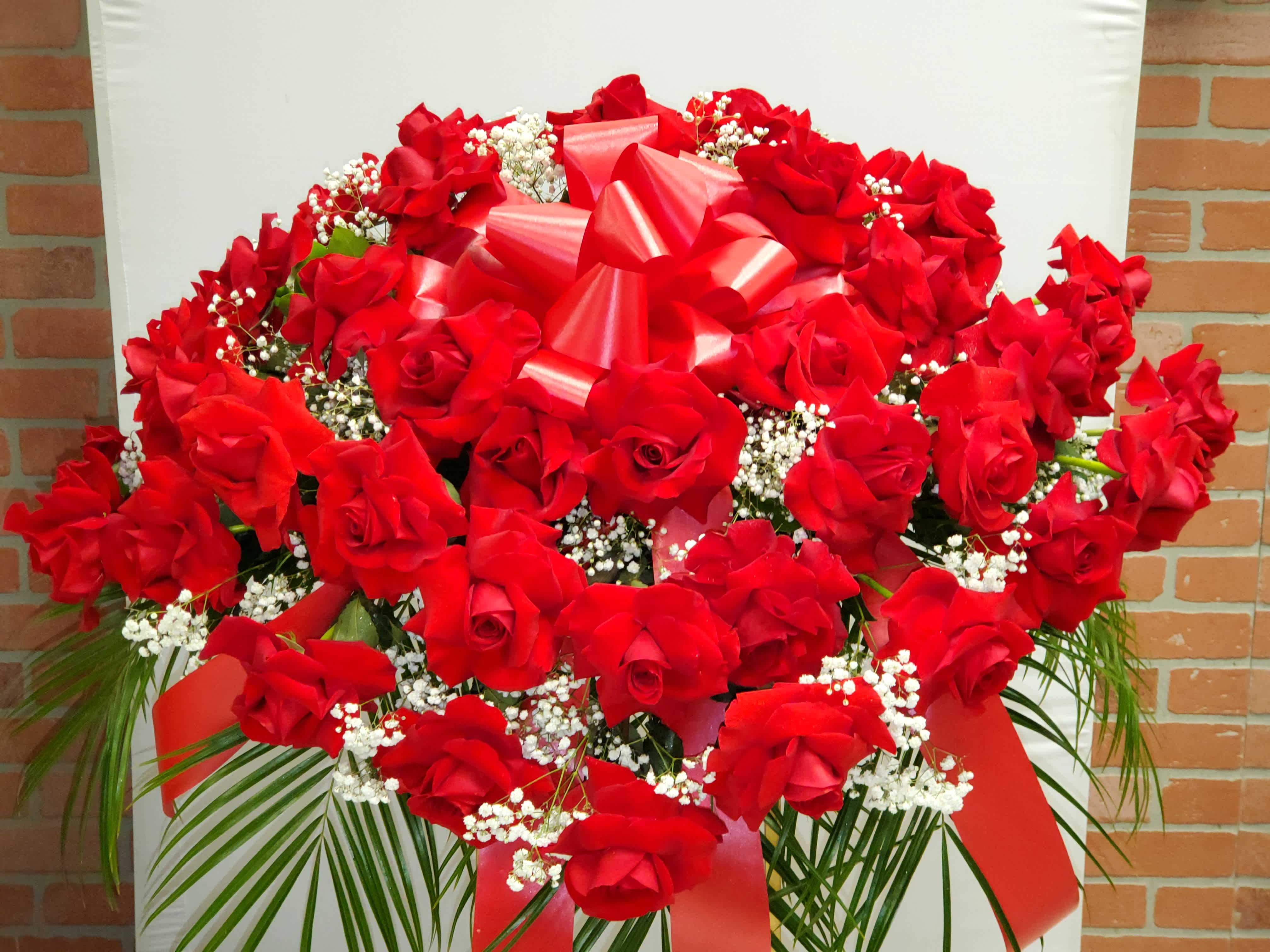 Red roses Casket  - Red roses Casket 