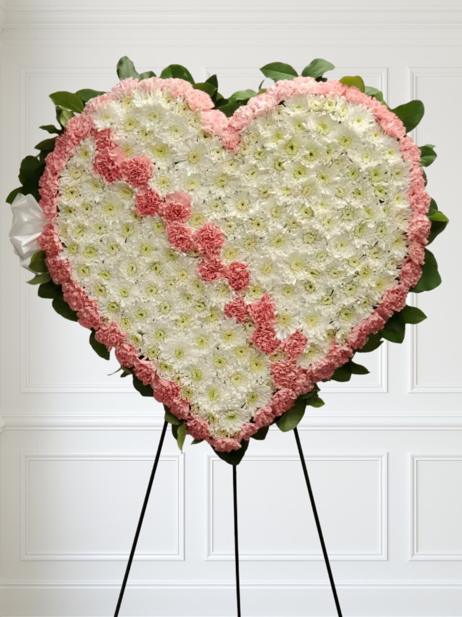 Pink Bleeding Heart - Pink Bleeding Heart 